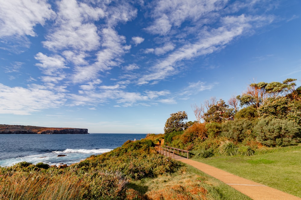 a path leading to the ocean on a sunny day