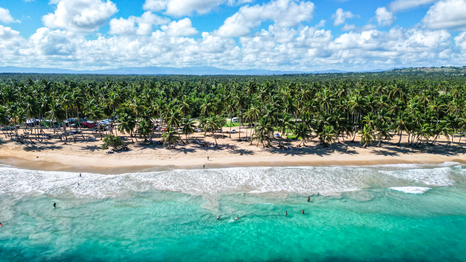 an aerial view of a beach with palm trees