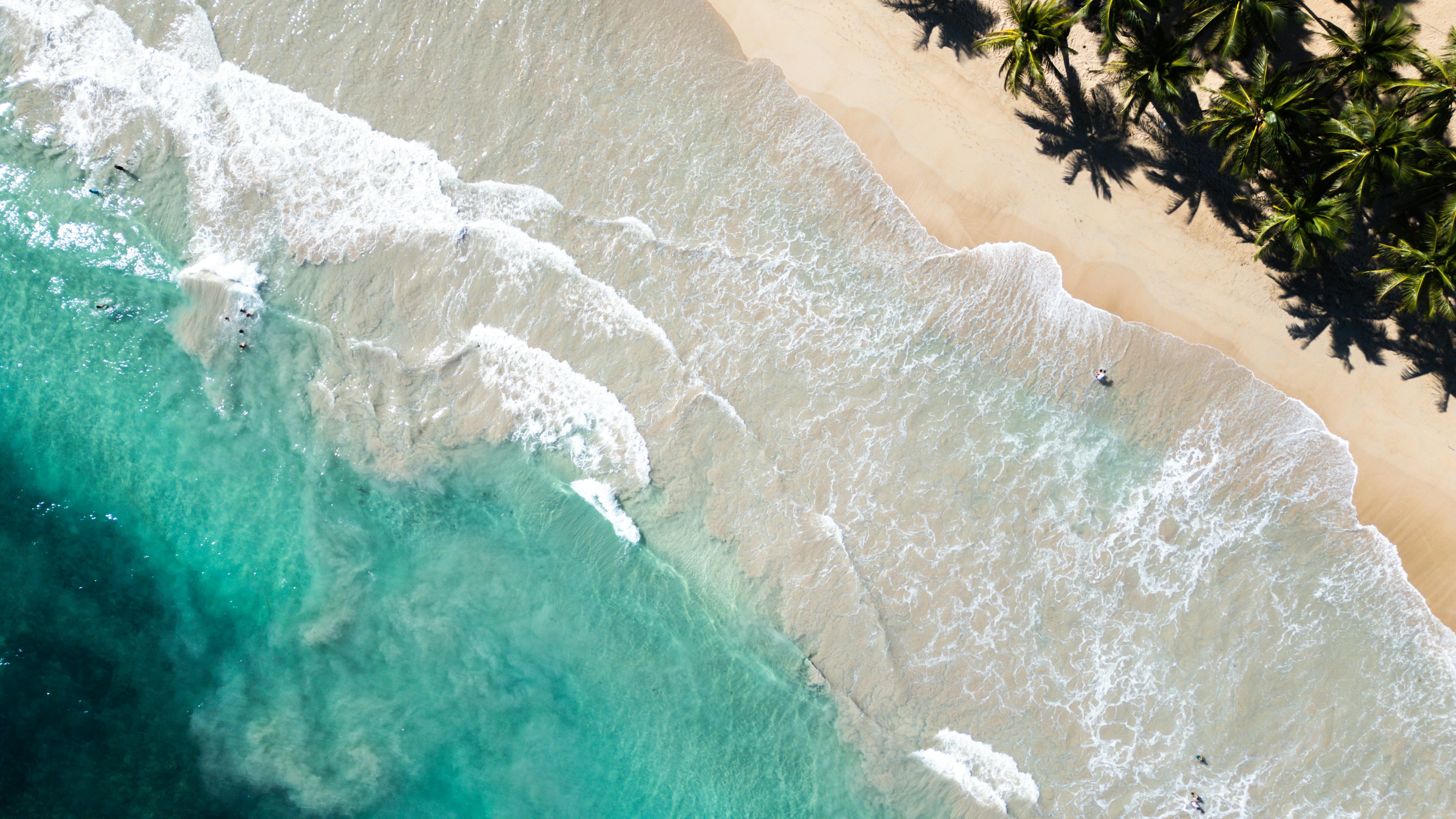 Photo by aldwardcv31