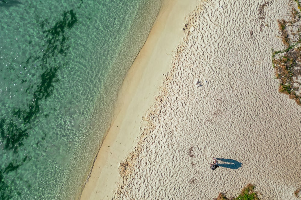 an aerial view of a beach and a body of water