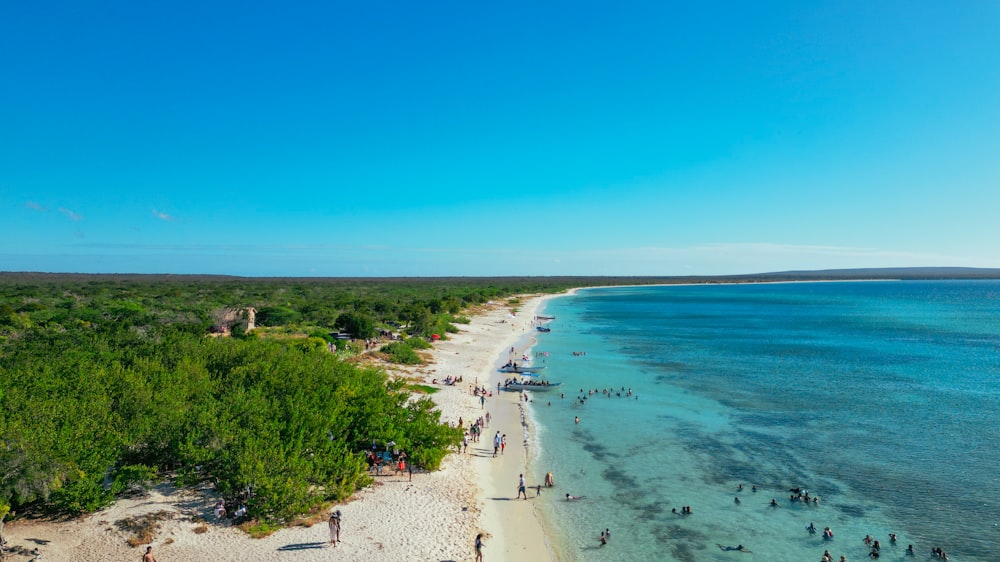 a group of people standing on top of a sandy beach