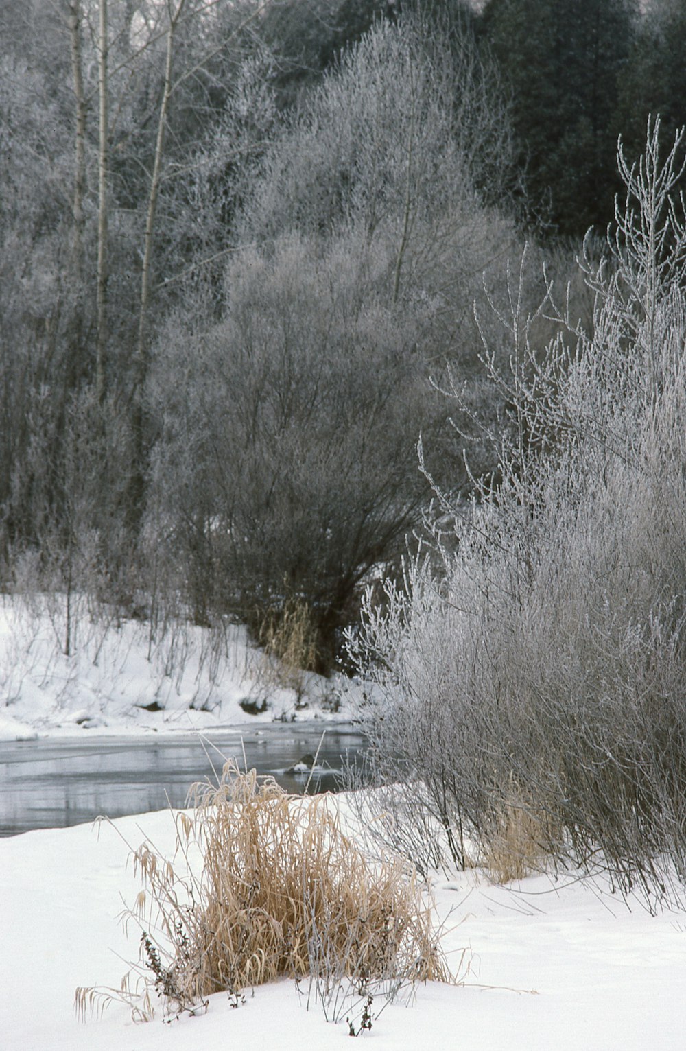 a snow covered field with a river and trees in the background