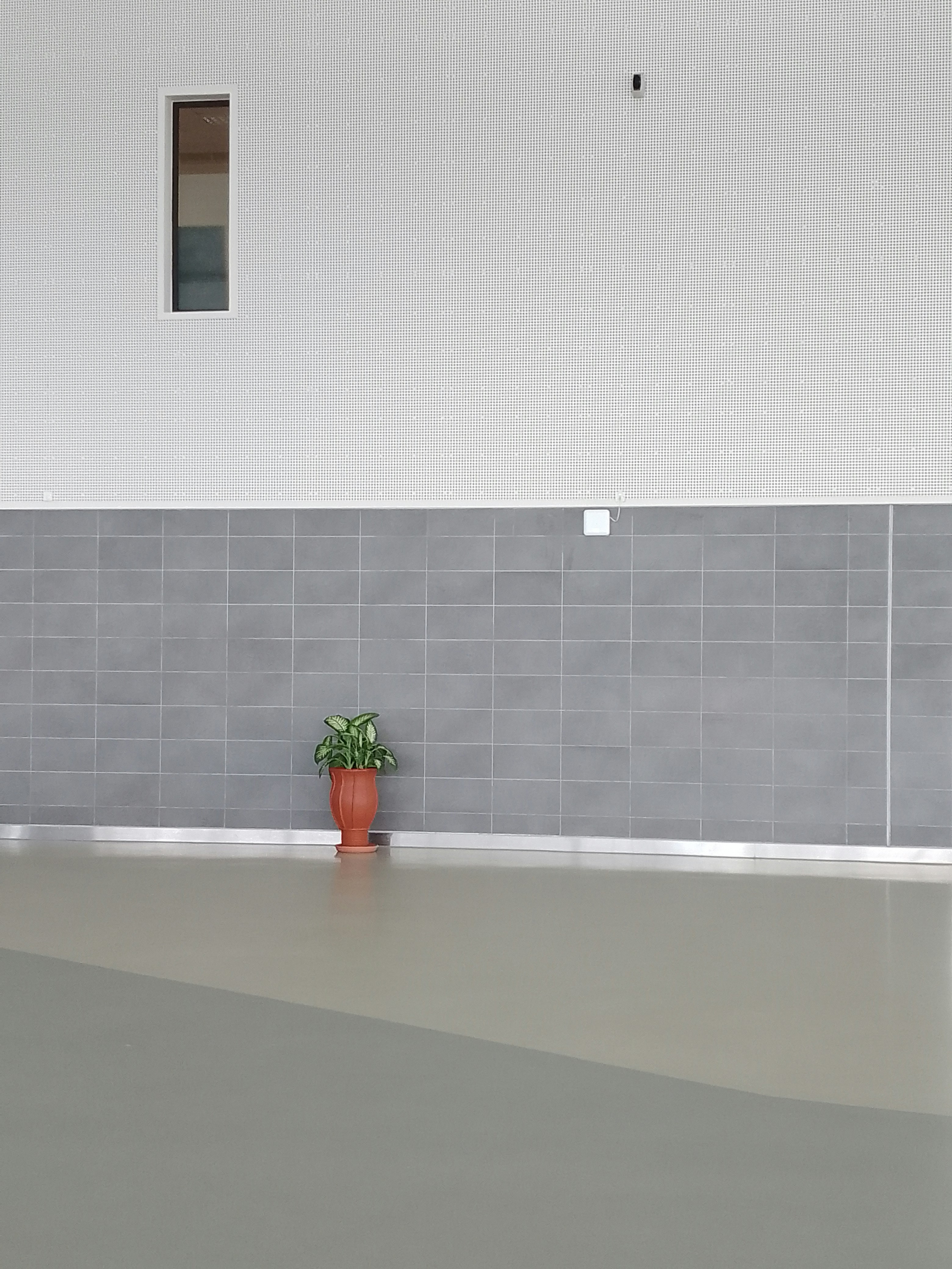 Professional tiler installing kitchen wall tiles