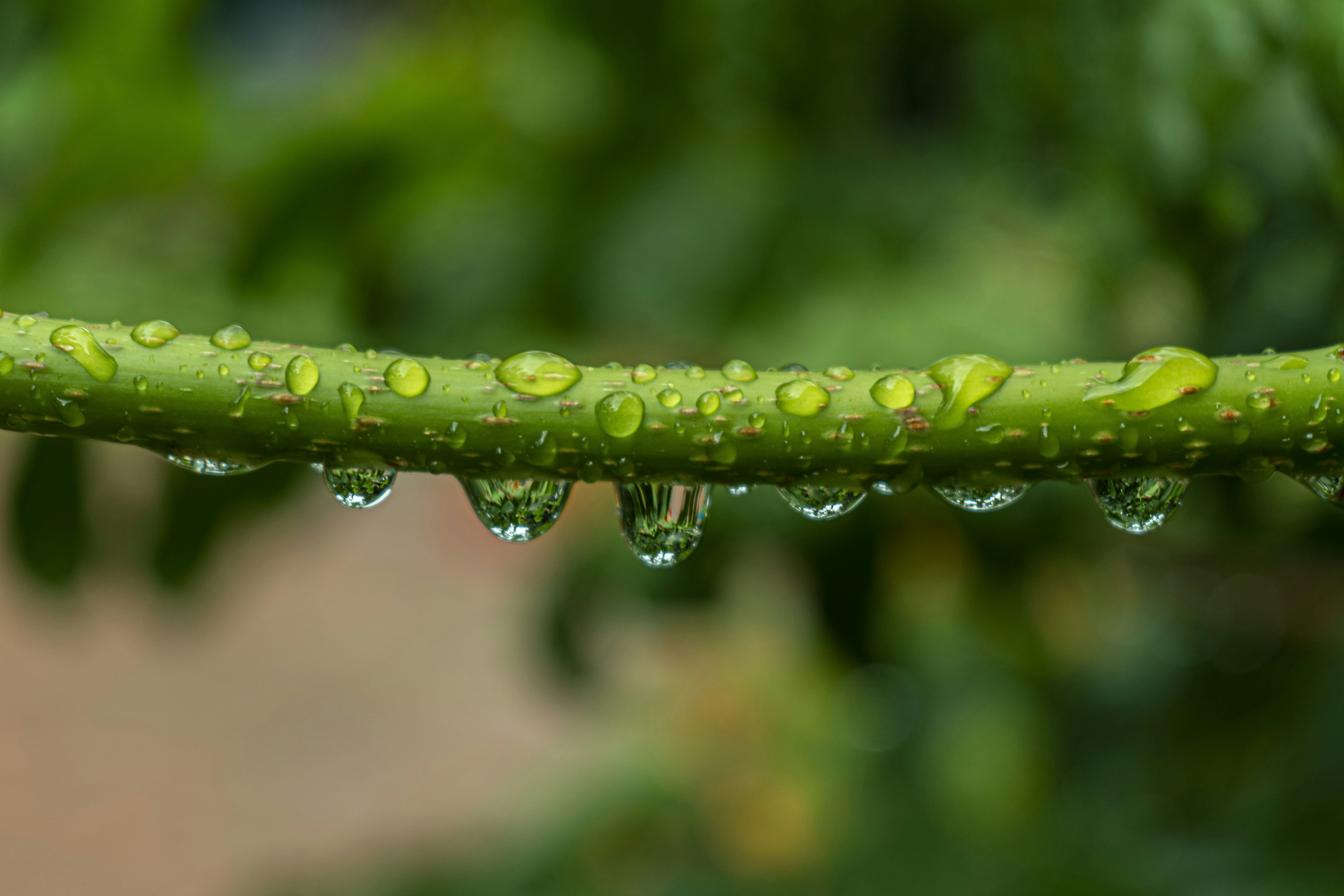 Photo by vickyloraschi9