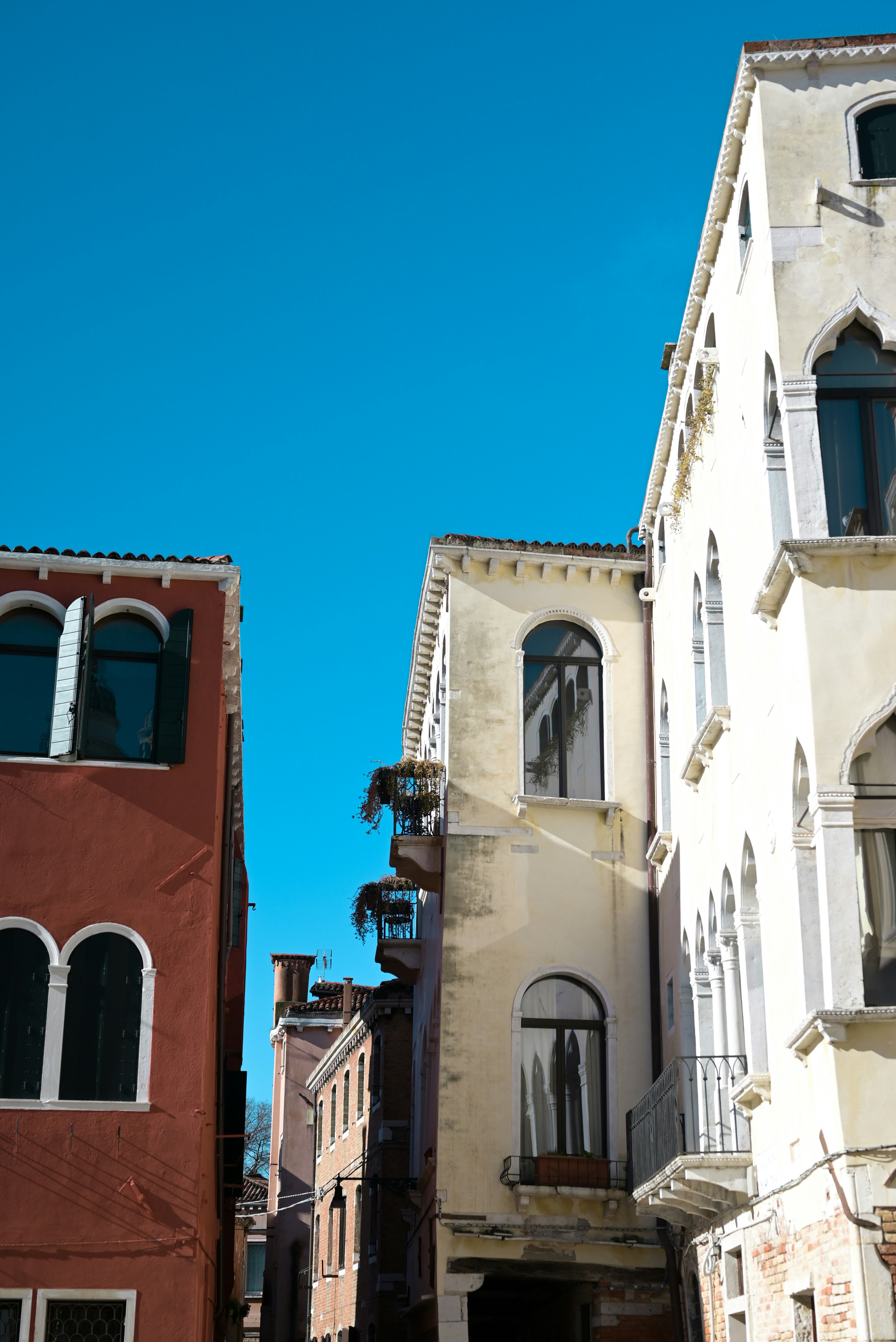 Photo by elliottmason