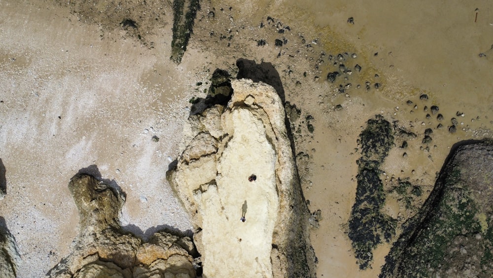 a close up of rocks and dirt on a beach