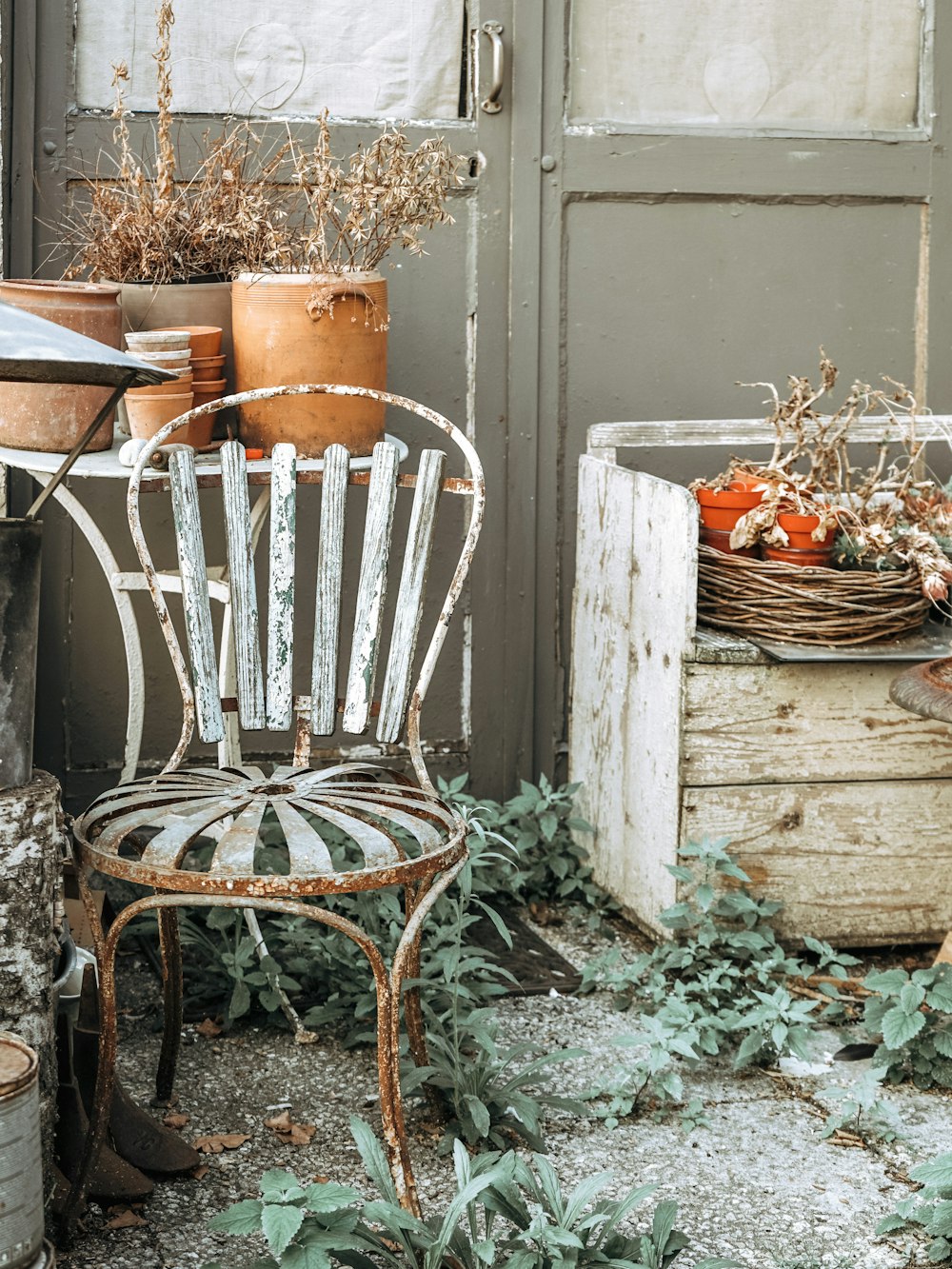 a chair sitting next to a bunch of potted plants