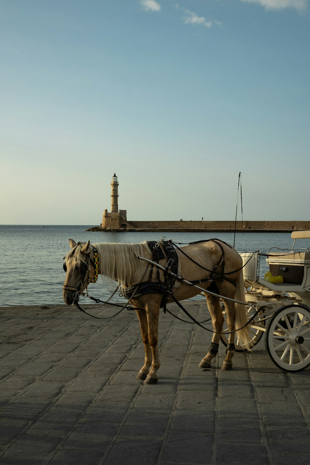 a horse pulling a carriage on the side of a body of water