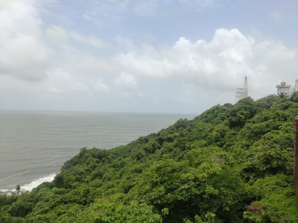 a lush green hillside next to the ocean