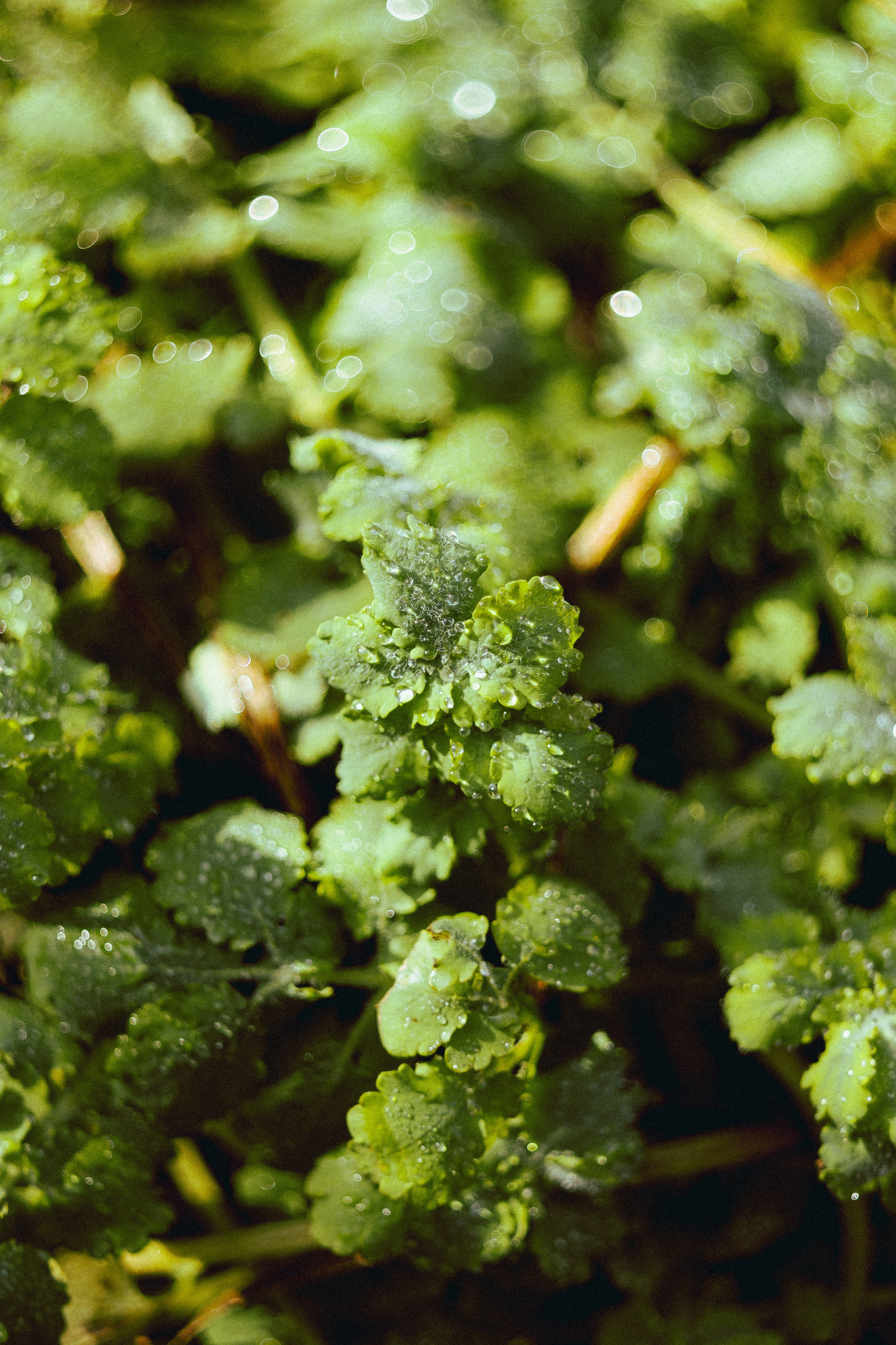 Photo by iamfrancismorgan