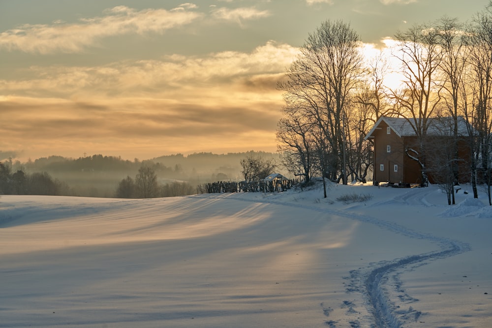 un campo cubierto de nieve con una casa a lo lejos