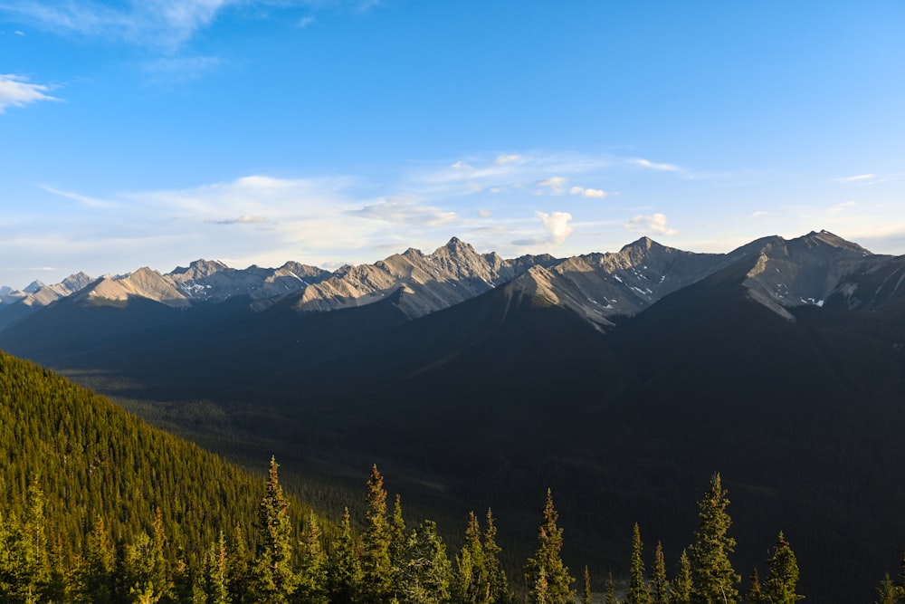 a view of a mountain range with trees in the foreground