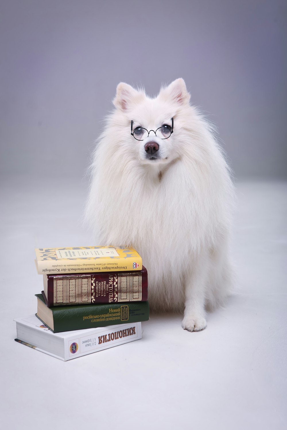 a white dog wearing glasses next to a stack of books