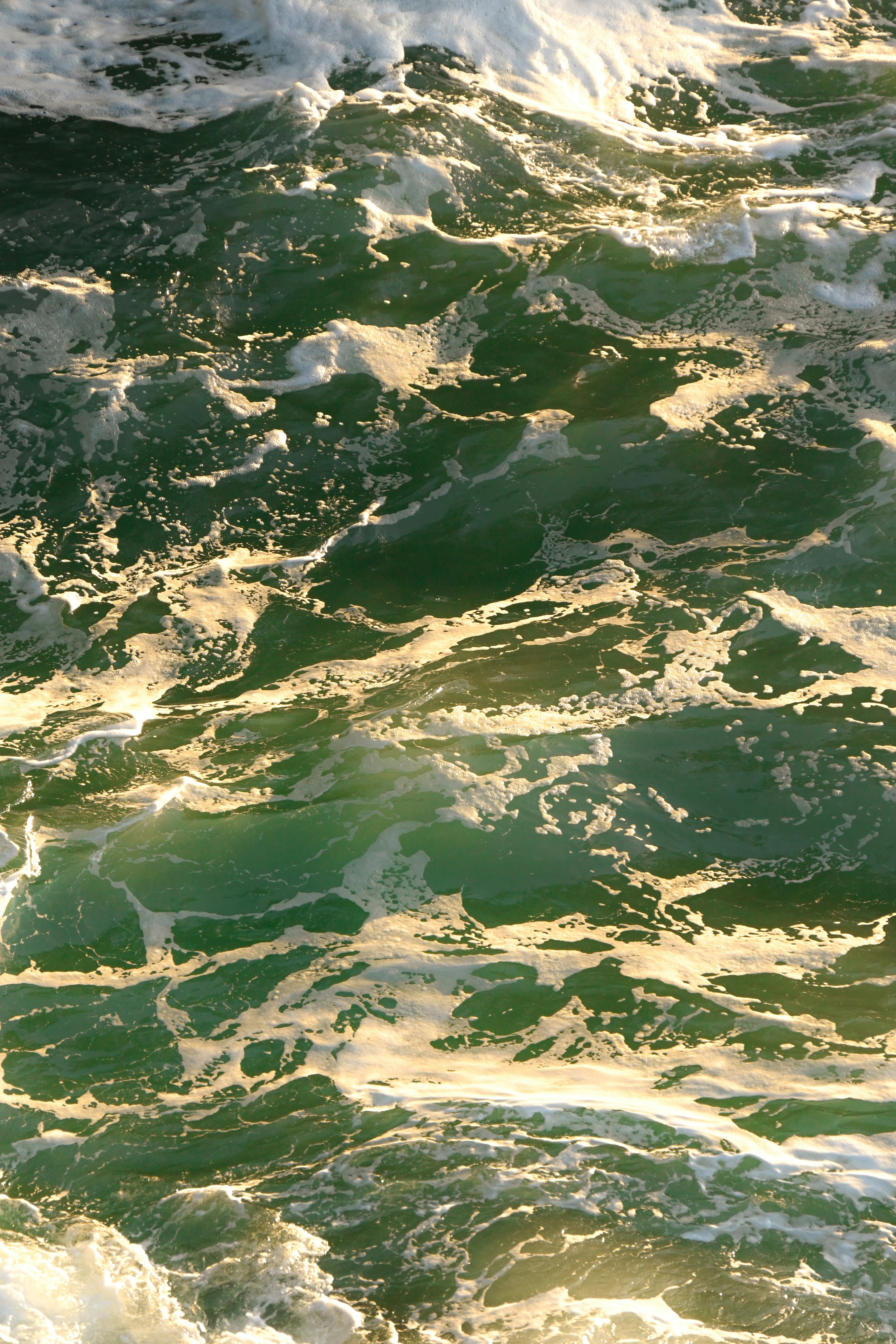 Photo by marybrennan