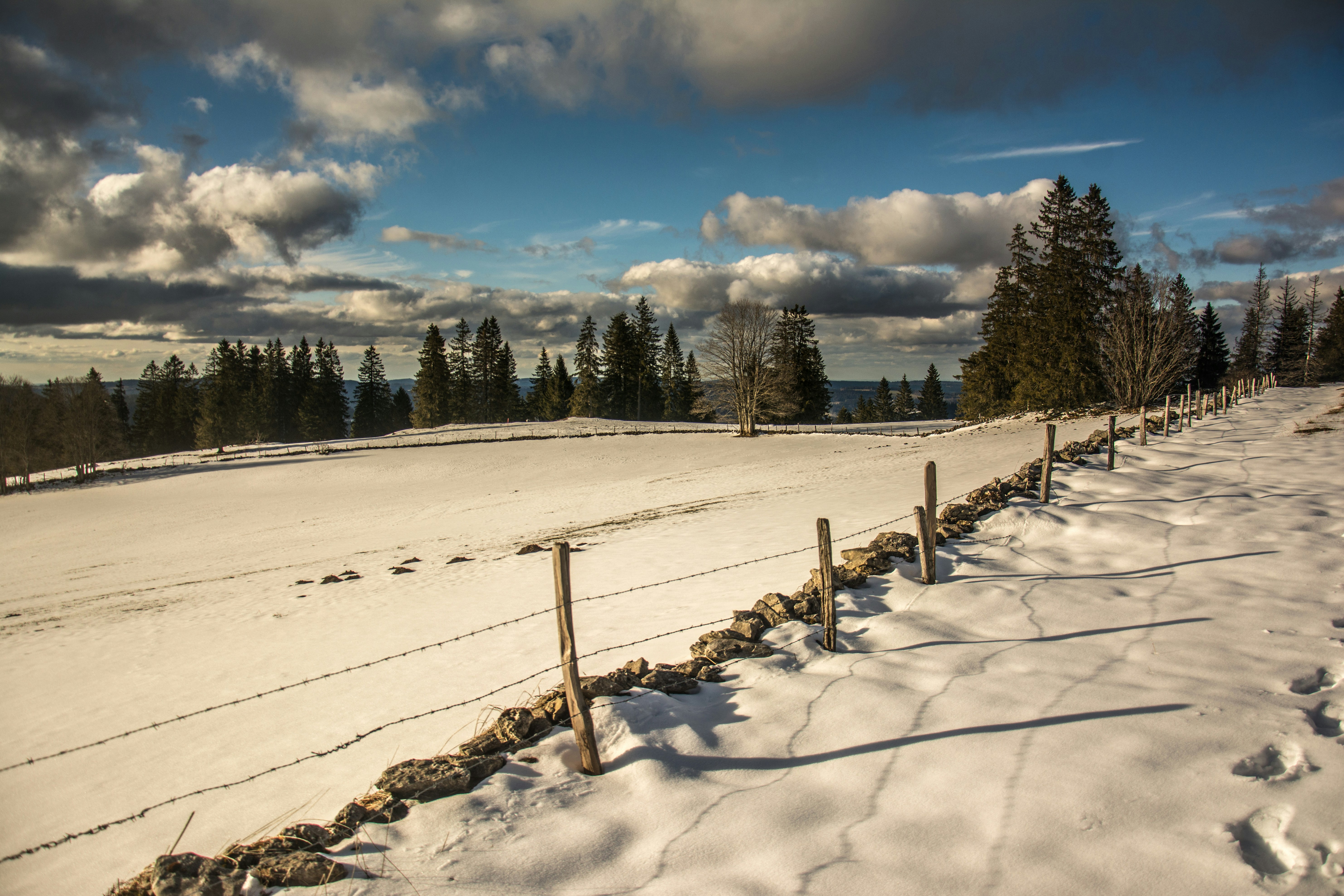 A snow covered field with a fence and trees photo – Free Suisse Image ...