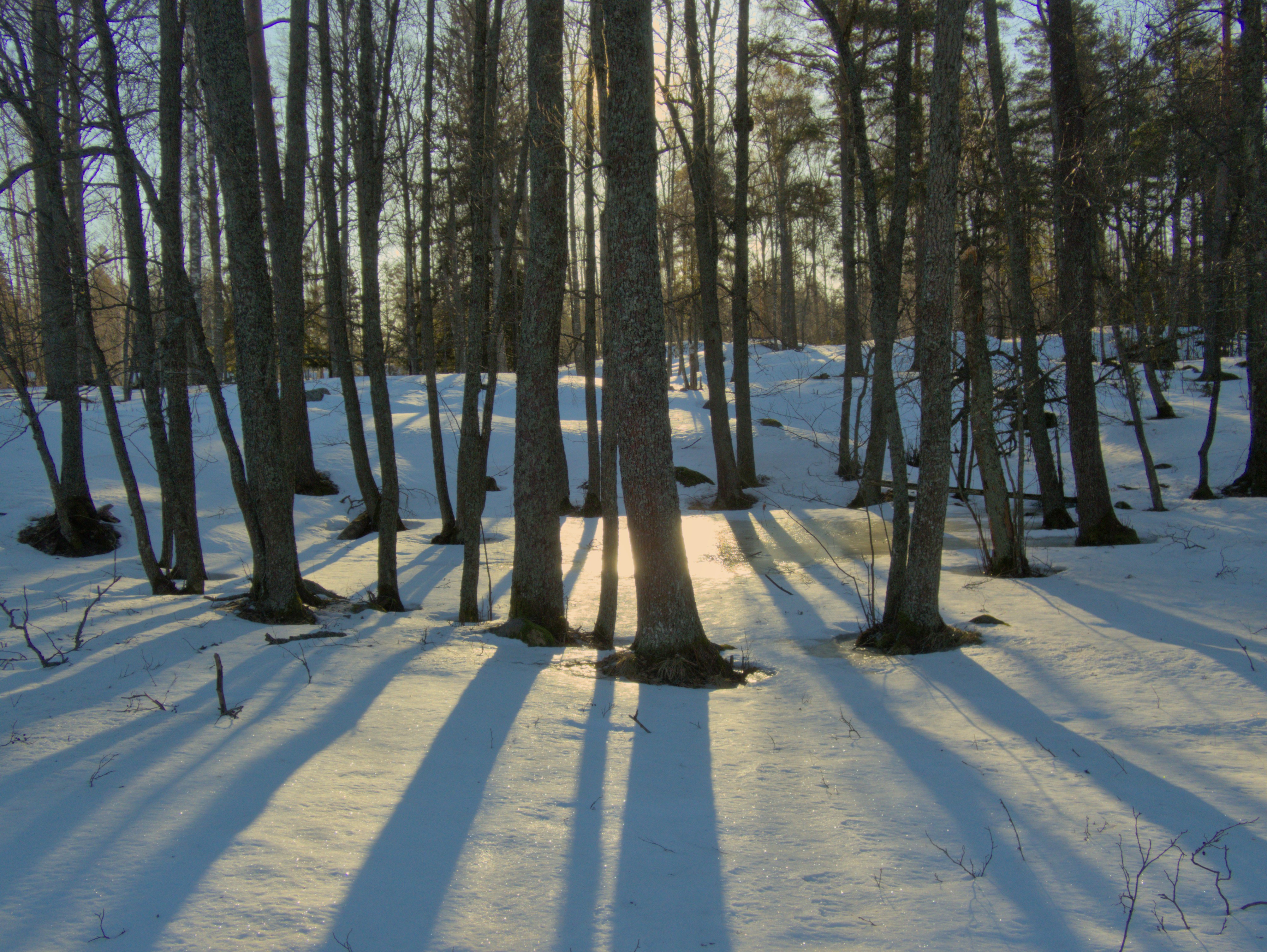 Photo by schneiderhenry