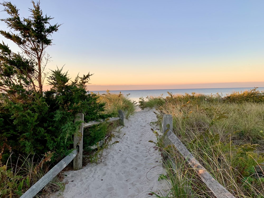 a path to the beach leading to the ocean