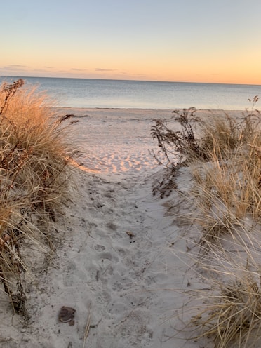 a sandy path leading to the beach with grass growing out of it