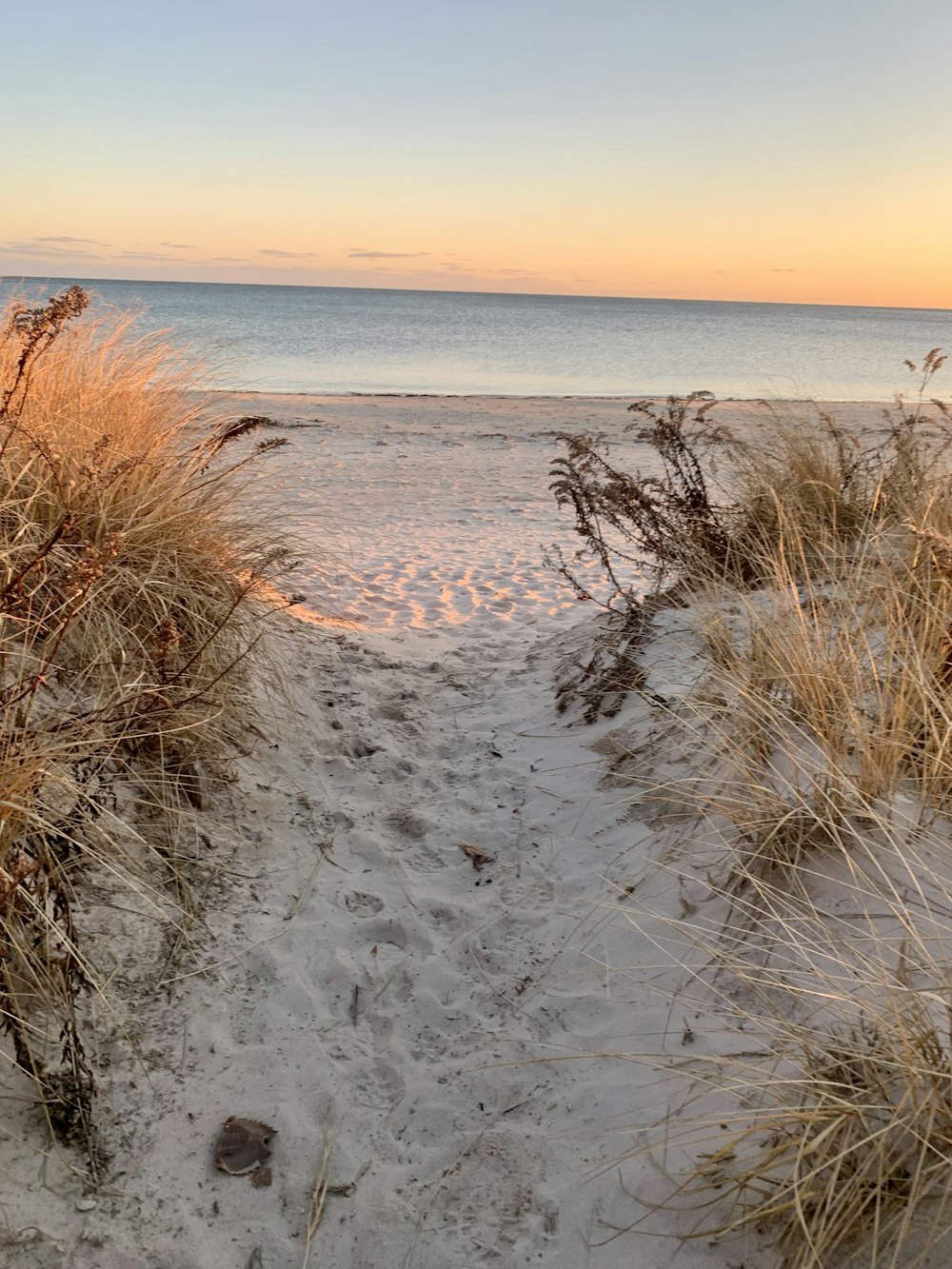 a sandy path leading to the beach with grass growing out of it