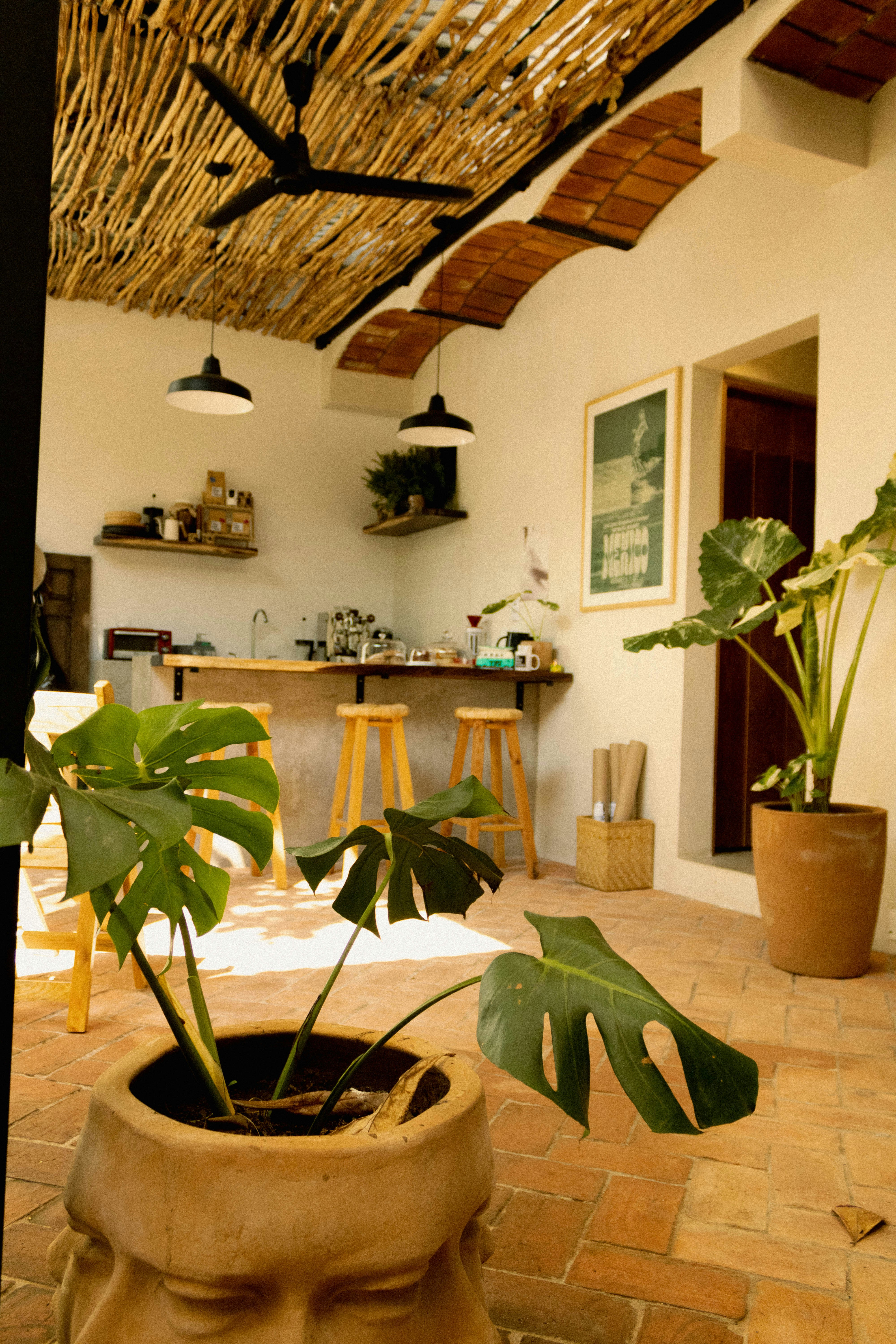 10 Insider Hotel Oxapampa Near Coffee Plantations