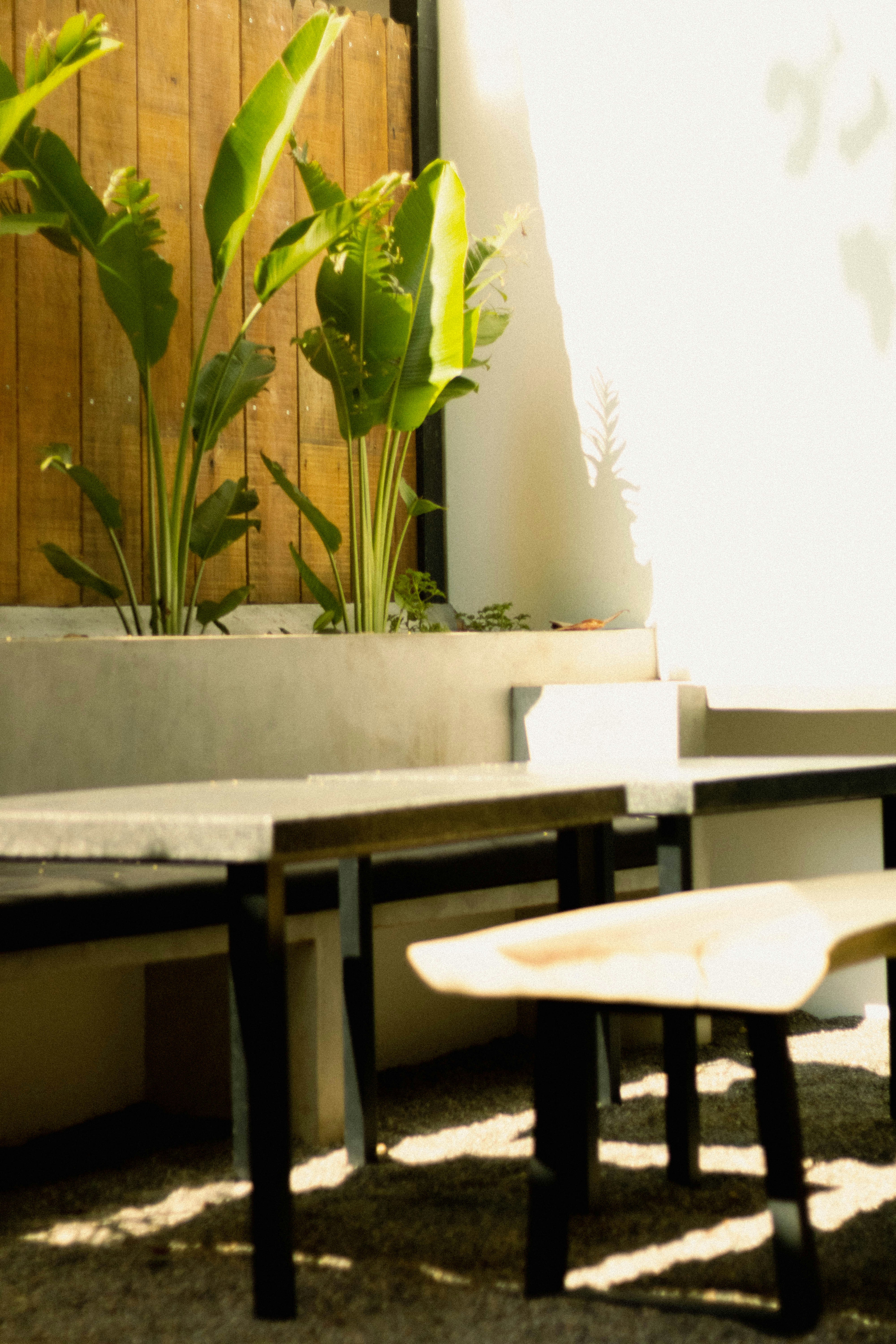 Photo by oscareduardohr