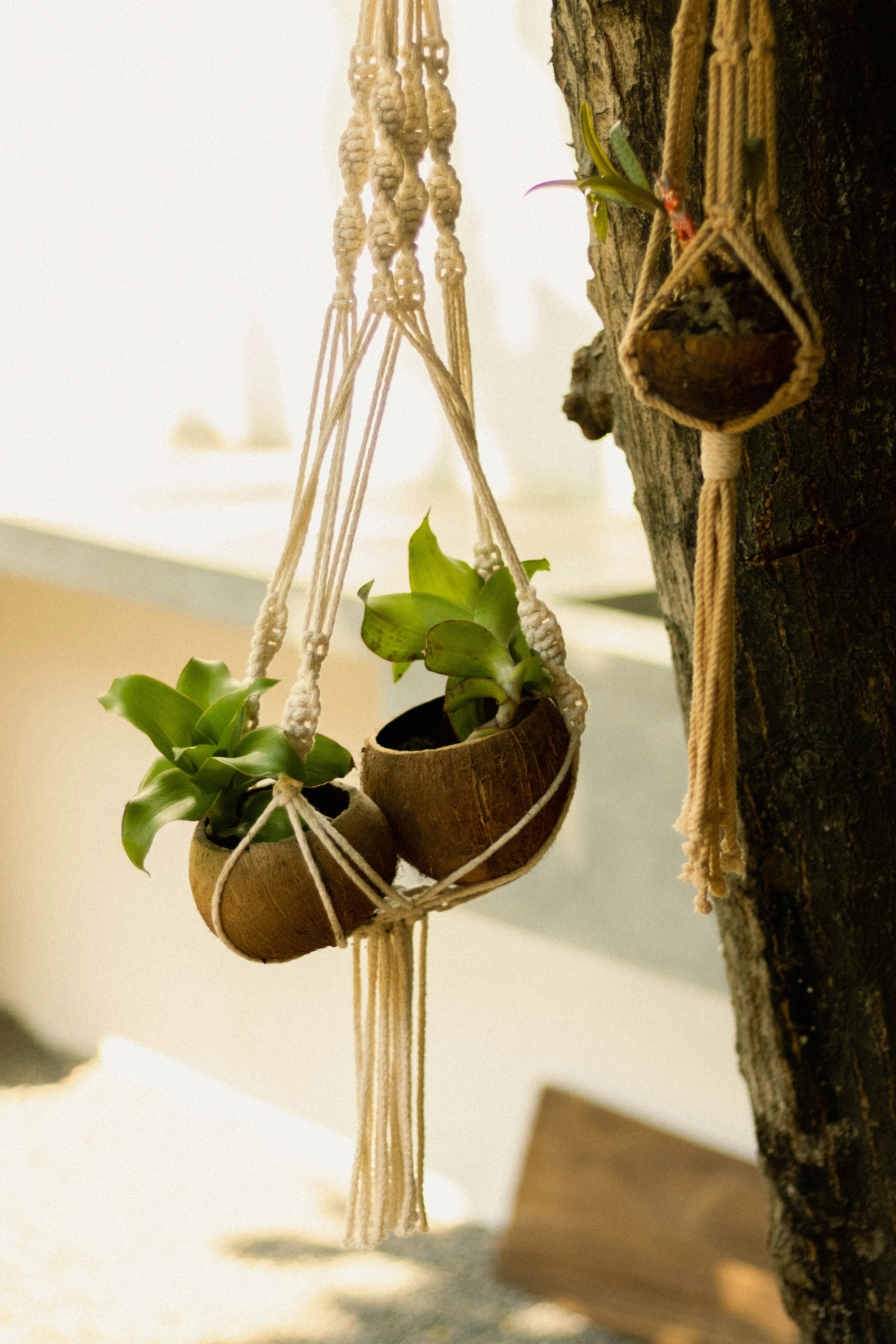 Photo by oscareduardohr