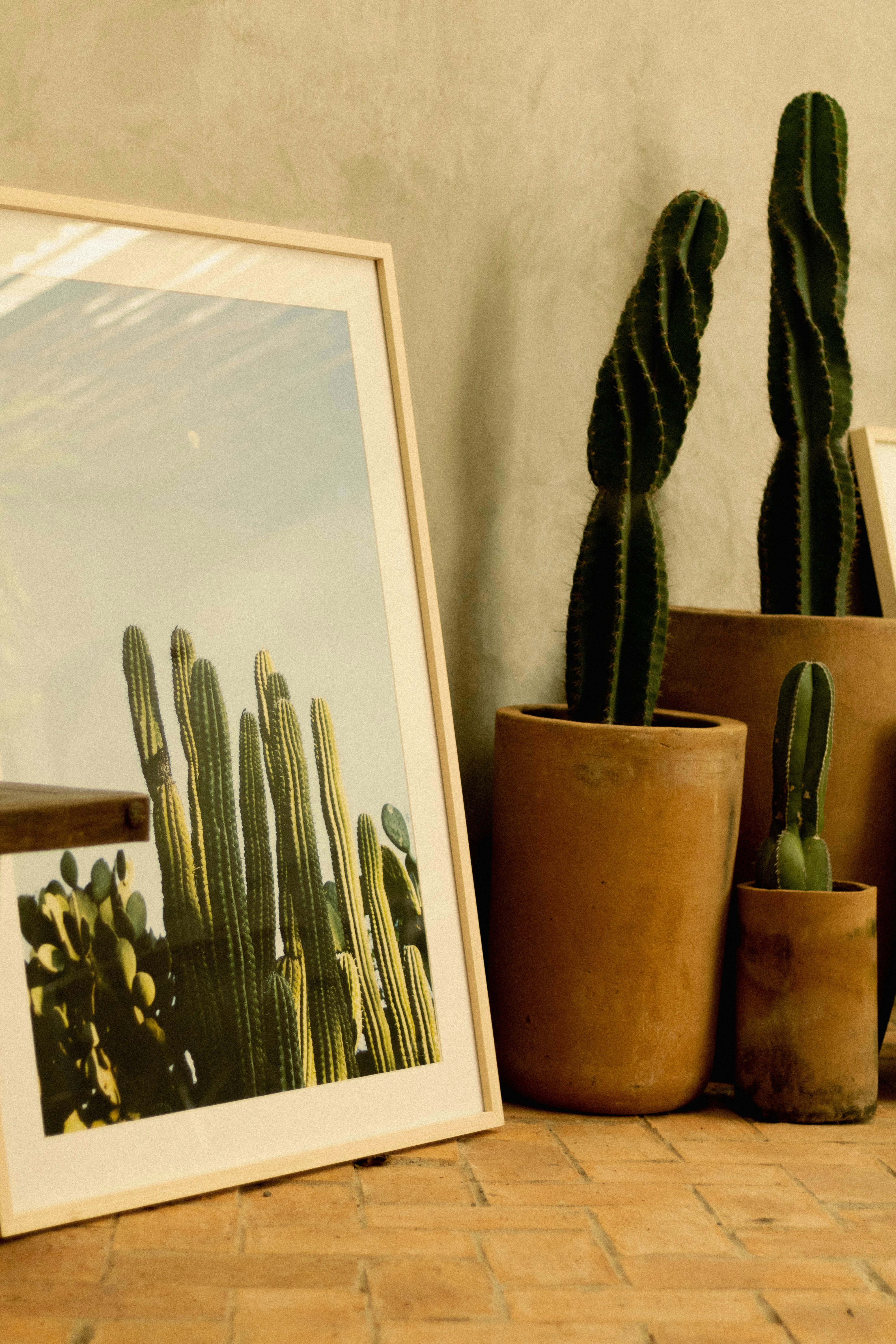 Photo by oscareduardohr