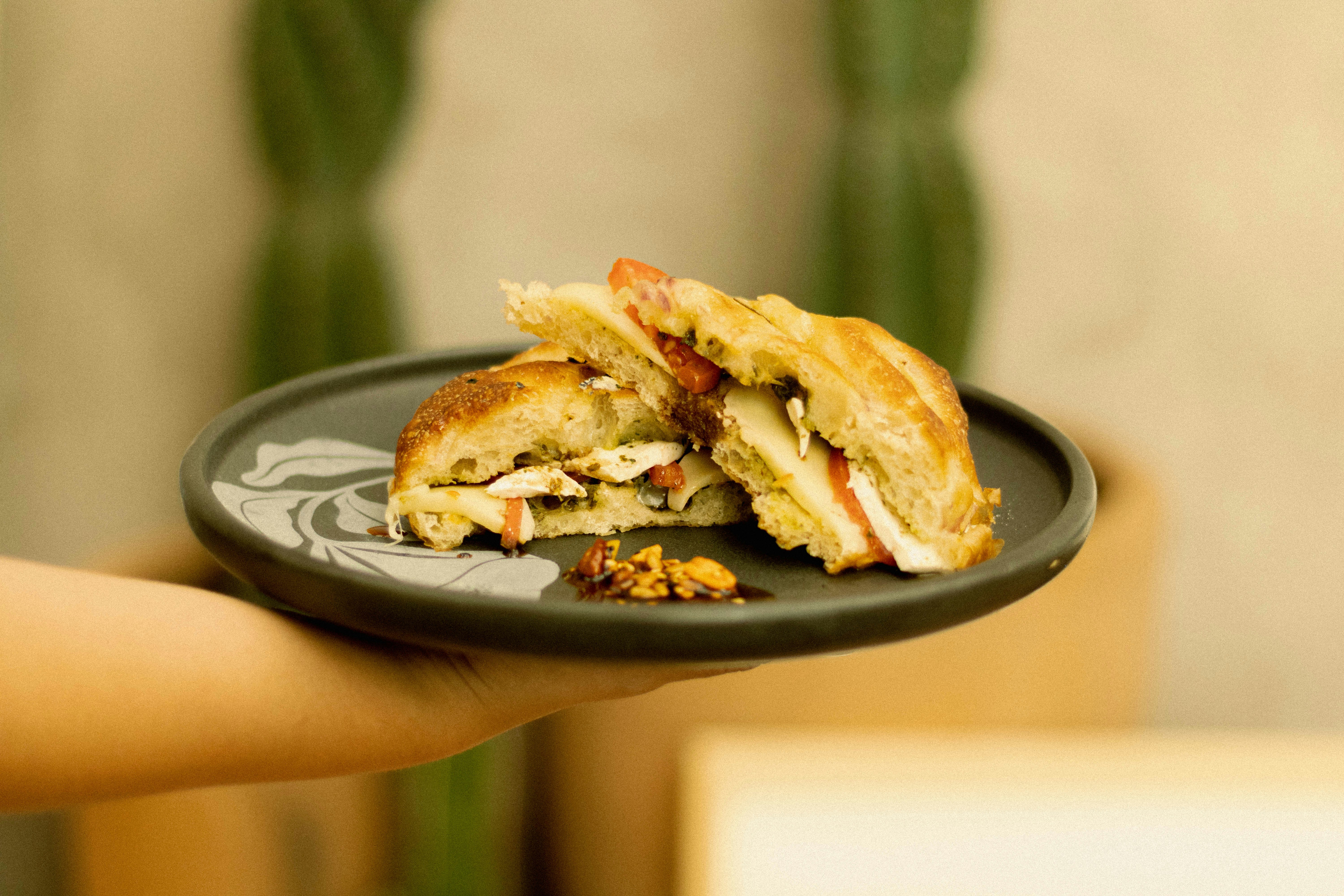 Person holding a plate with a toasted sandwich