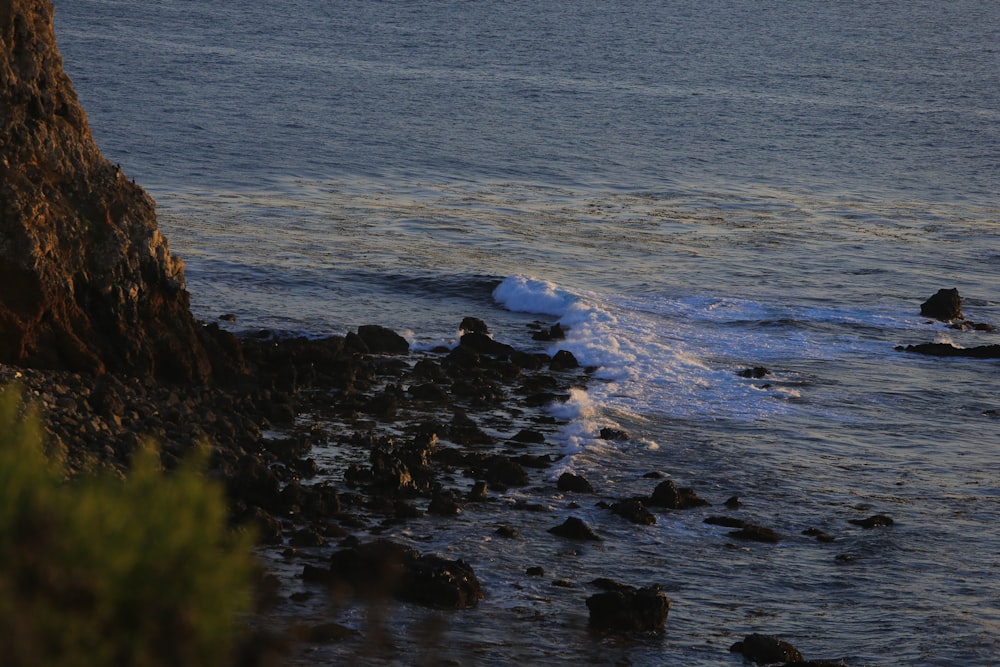 a body of water next to a rocky shore