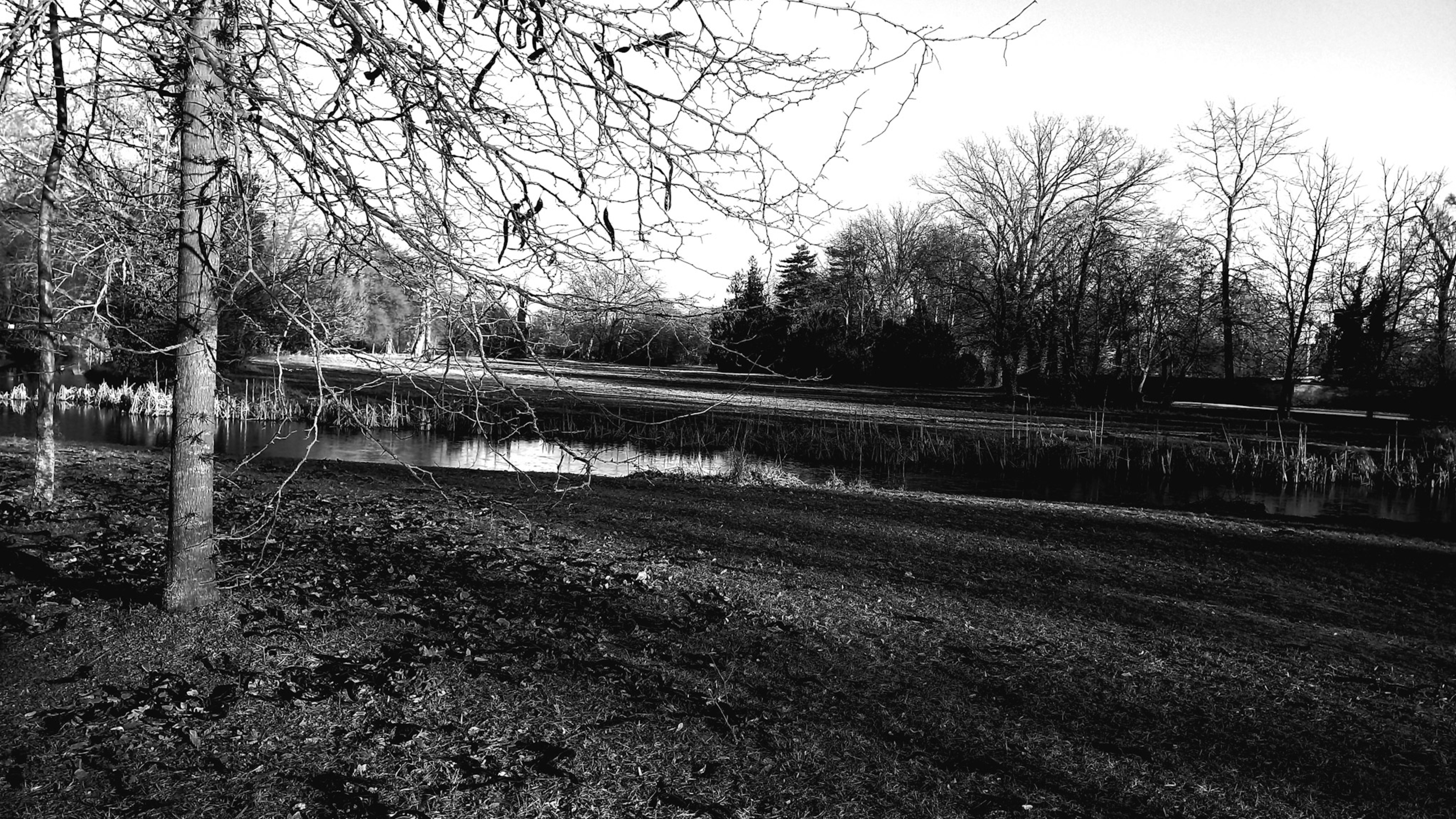 Photo by ornela_maloku