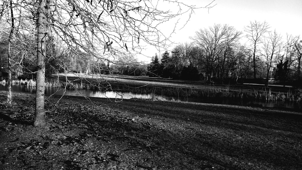 a black and white photo of a lake and trees
