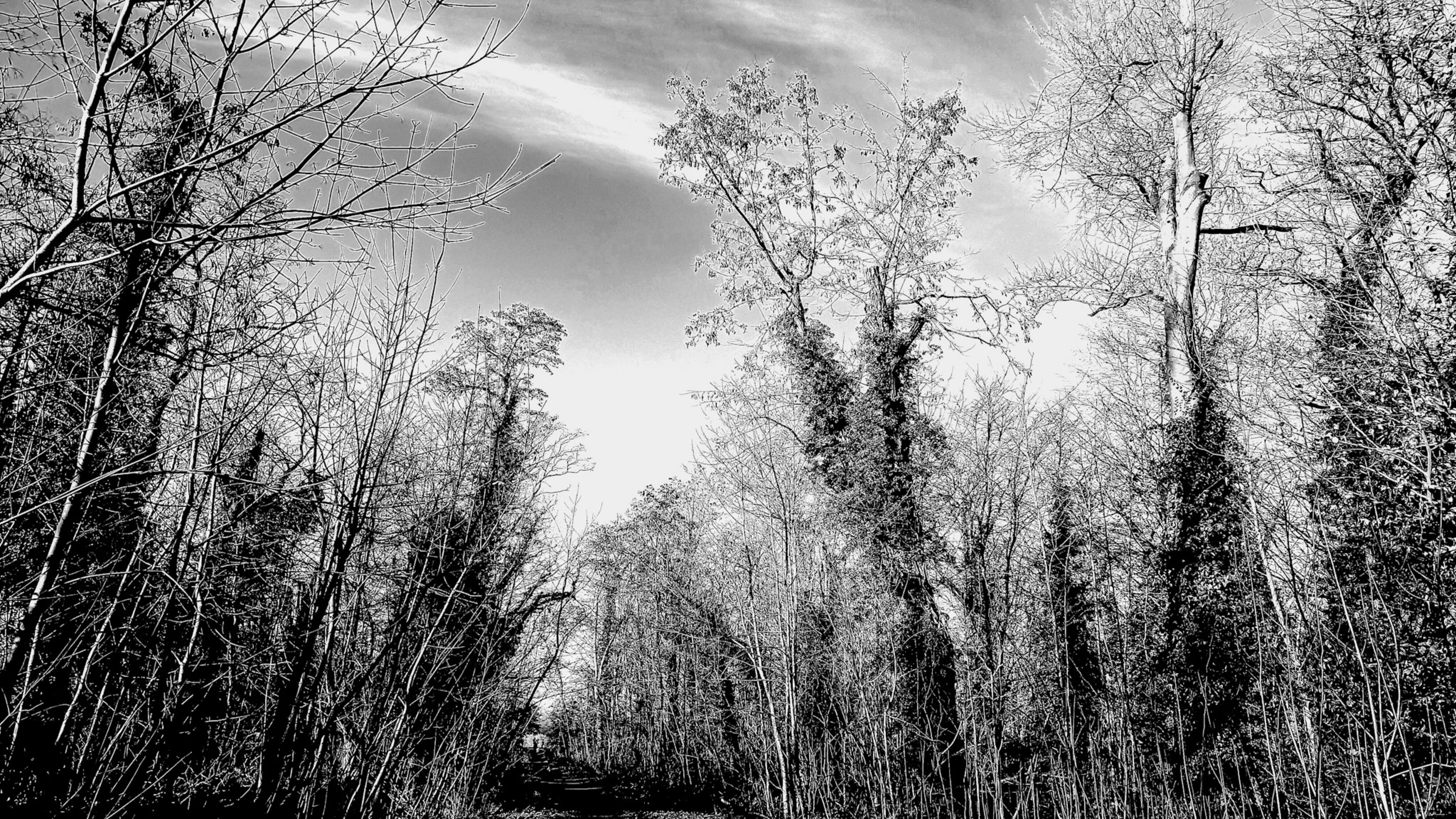 Photo by ornela_maloku