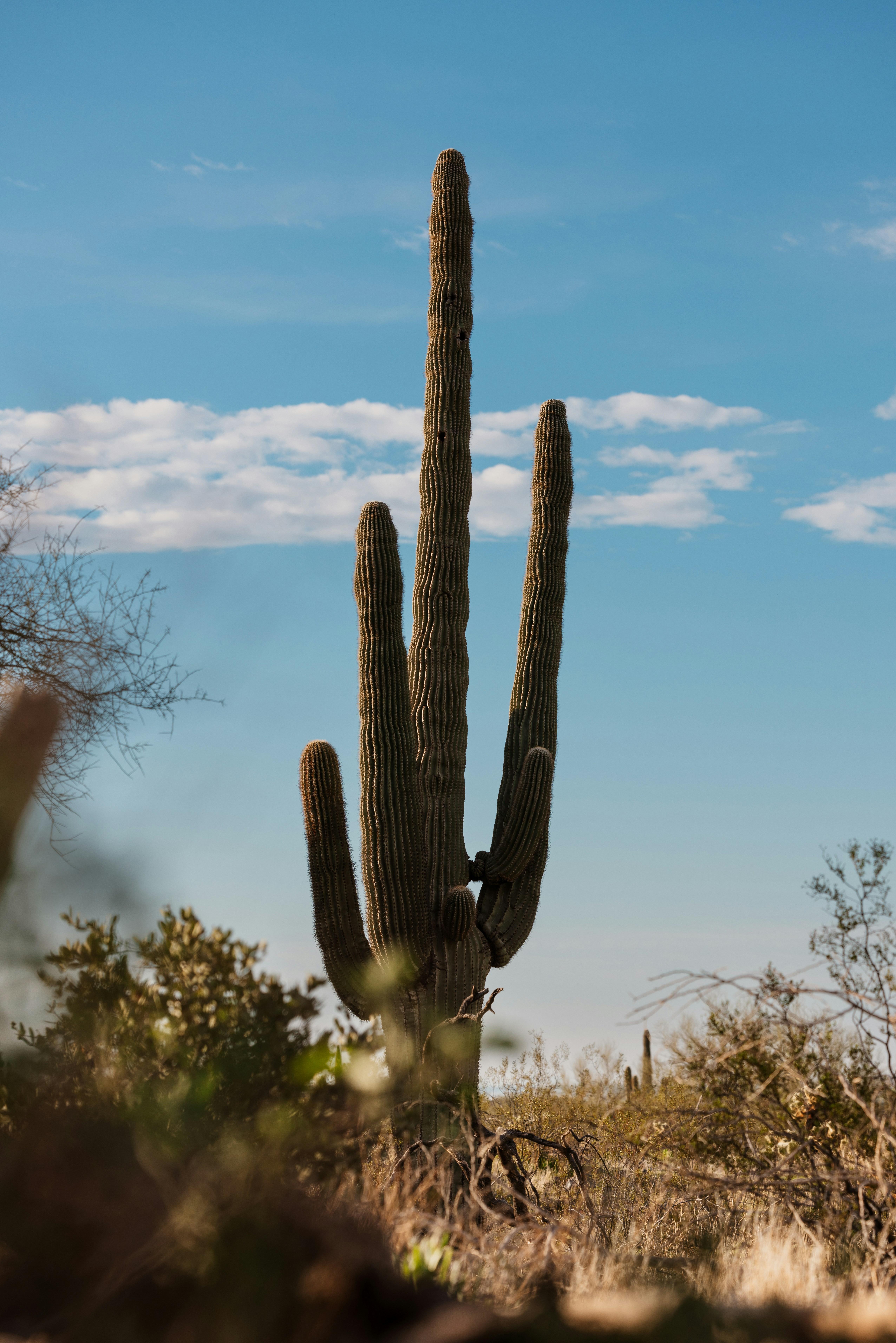 Photo by daniellenicholephoto