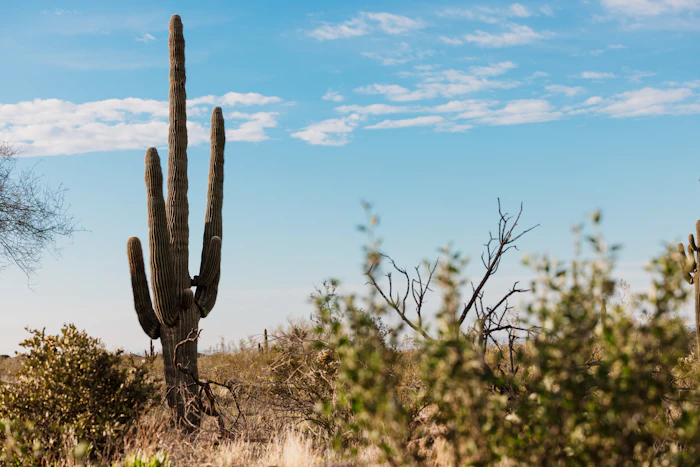 Kimpton Palomar Phoenix Scottsdale Phoenix Arizona hotel