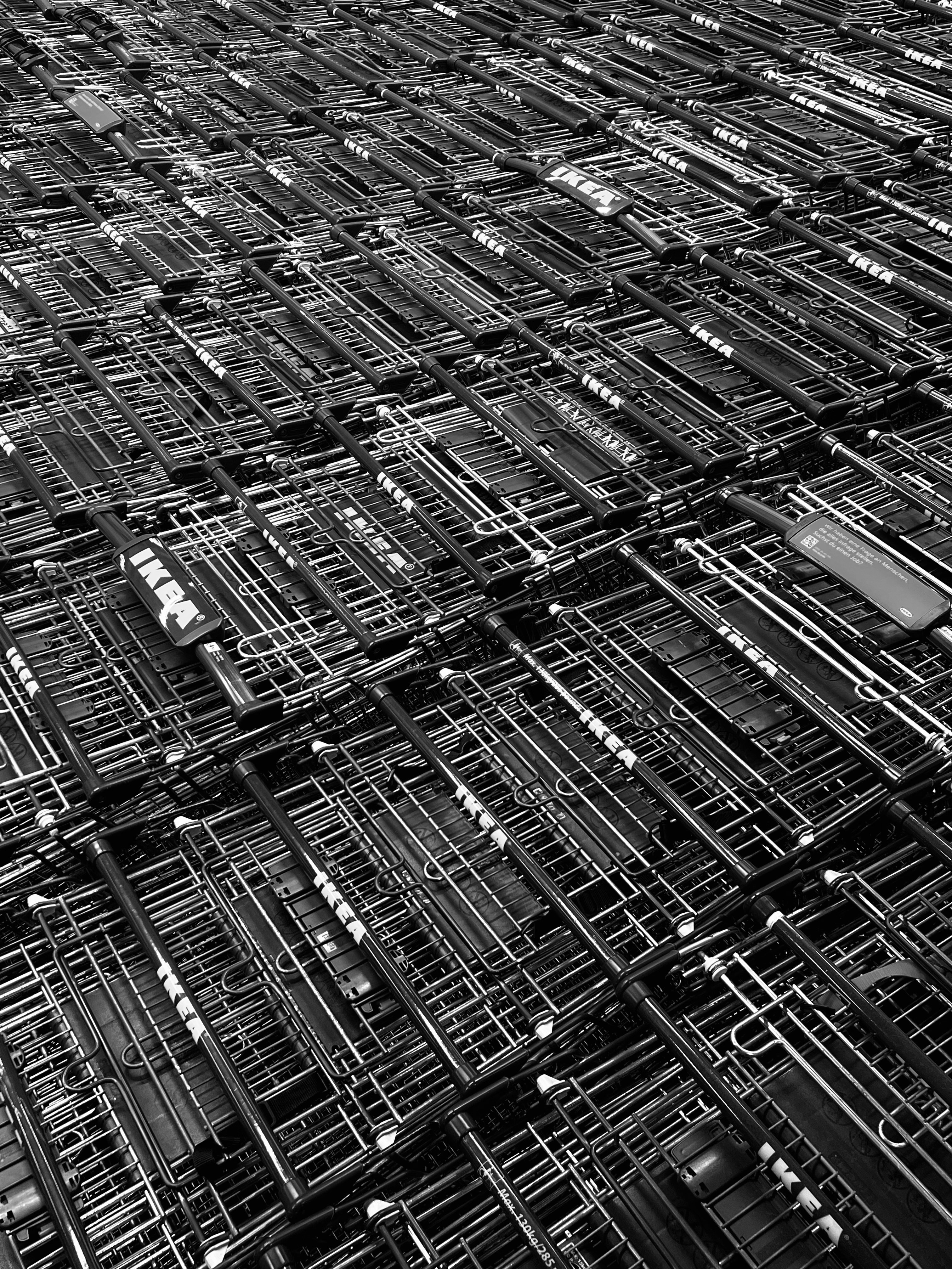 Photo by luis_de_leon