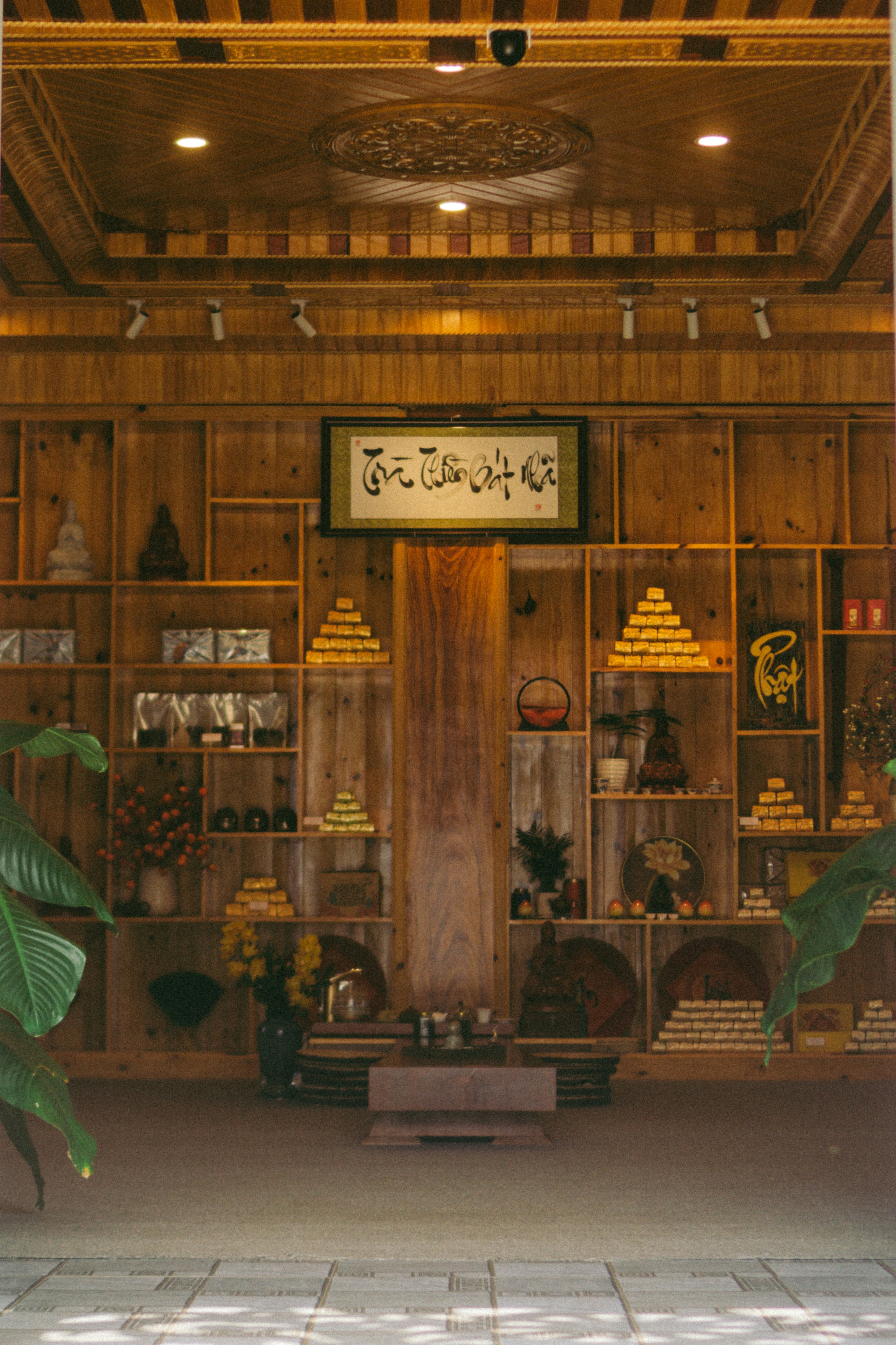 a room with a lot of shelves and plants