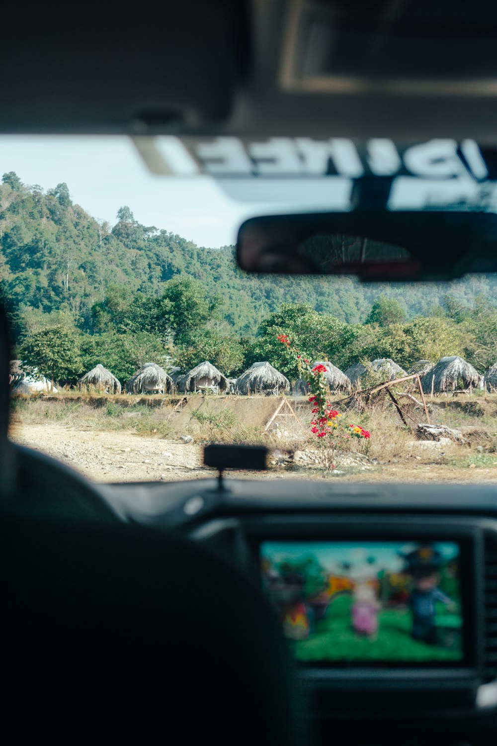 a view from inside a vehicle of a herd of animals