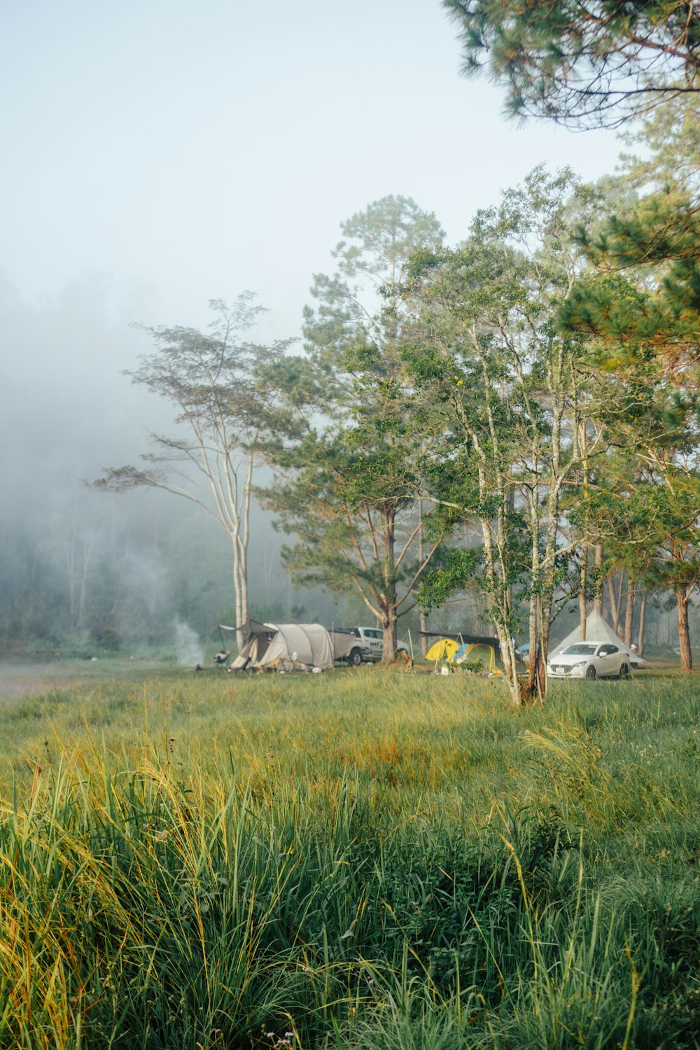 a truck is parked in a grassy field