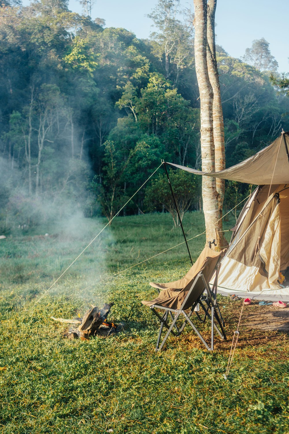 a tent set up next to a tree in a field