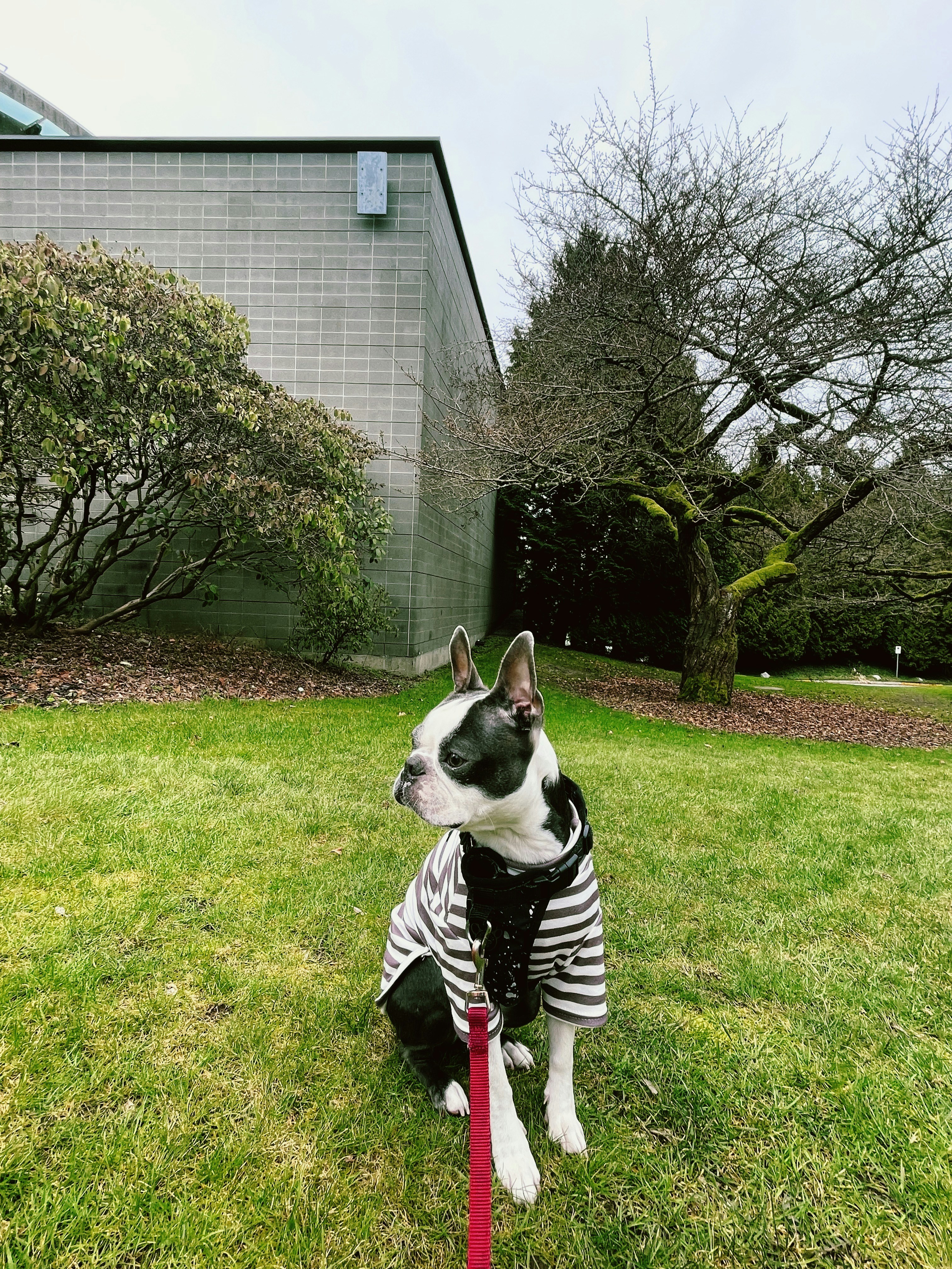 photo-1708465797254-446918cf0c77?ixlib=rb-4.0.3