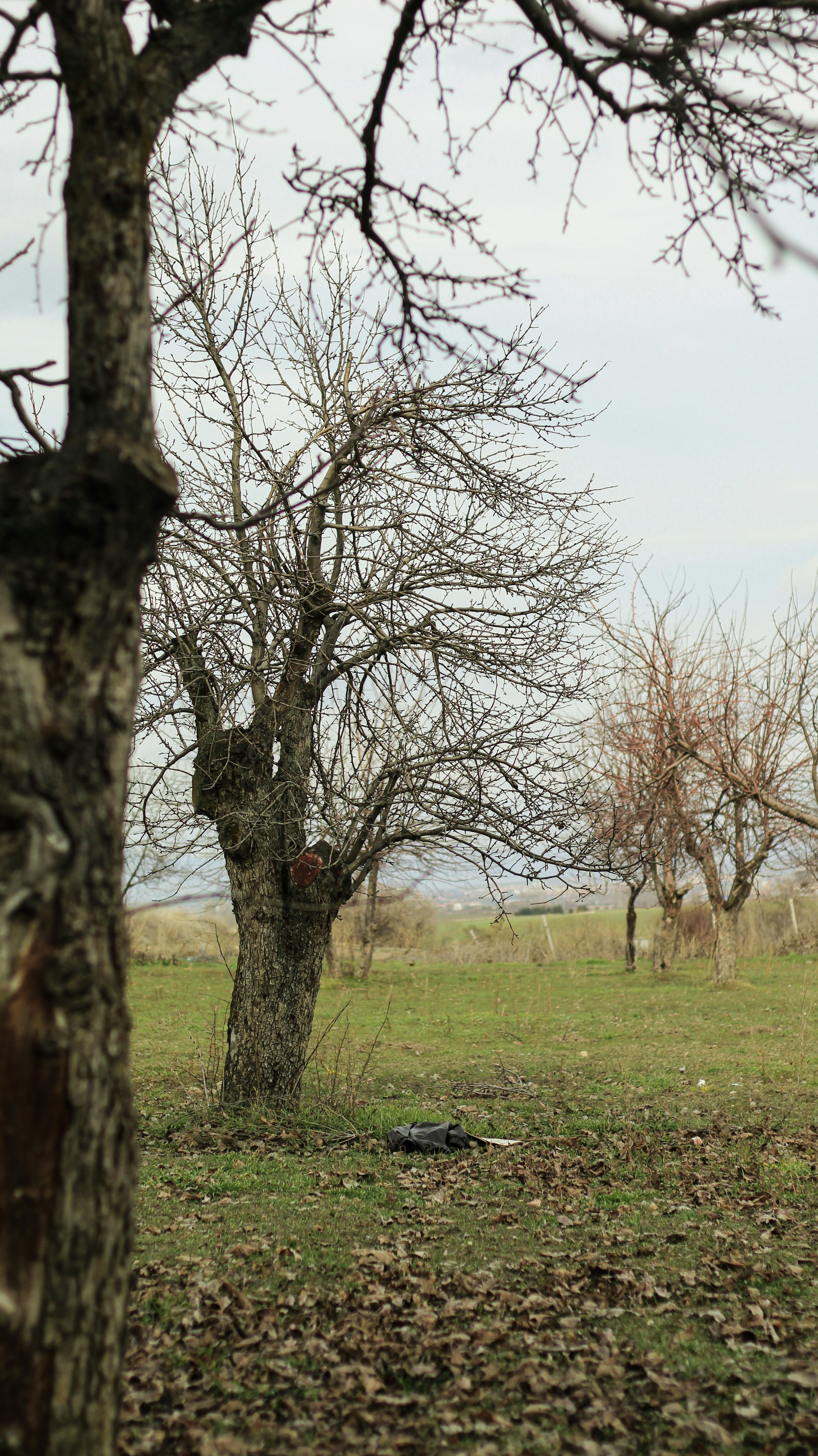 Photo by esrakorkmaz