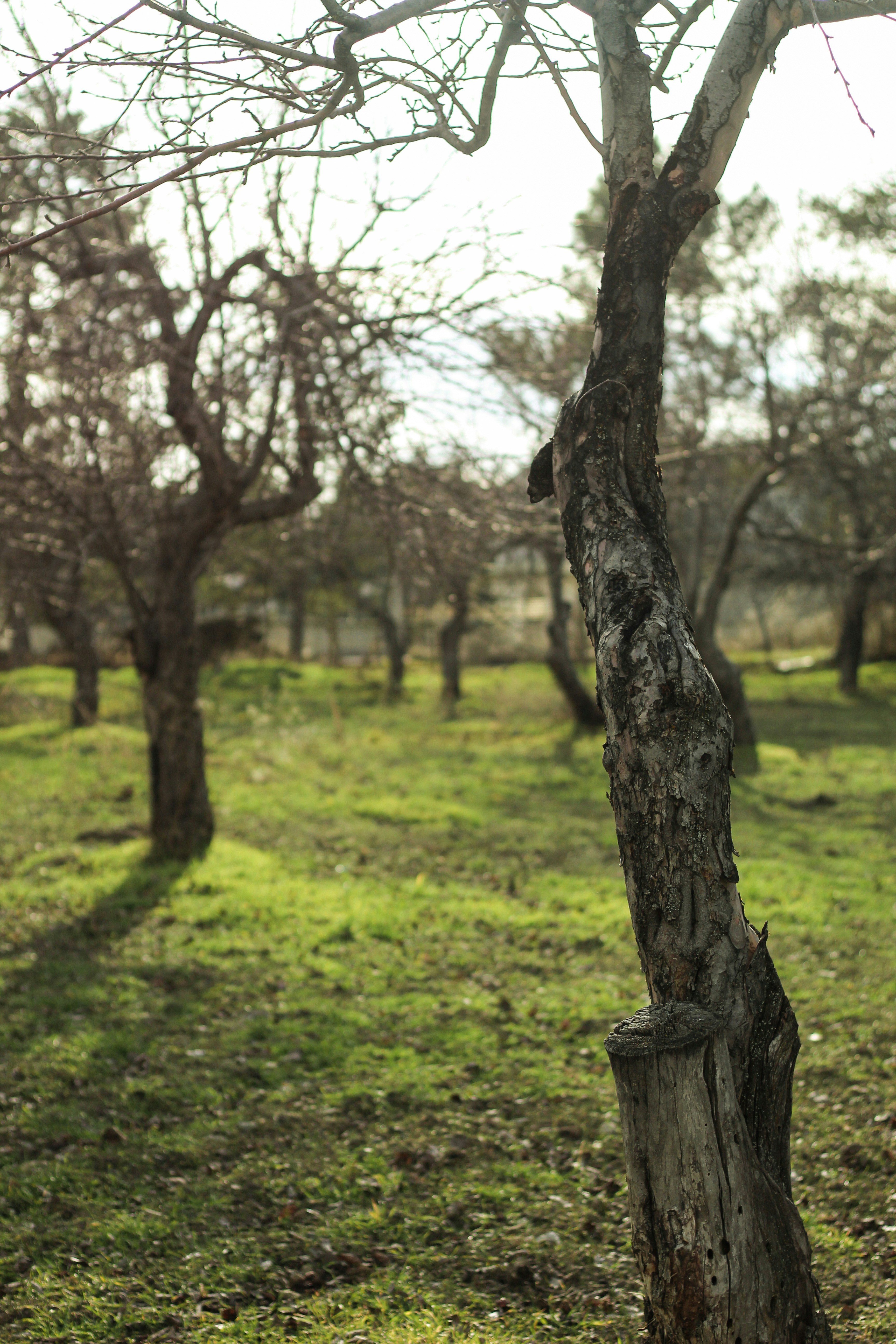 Photo by esrakorkmaz