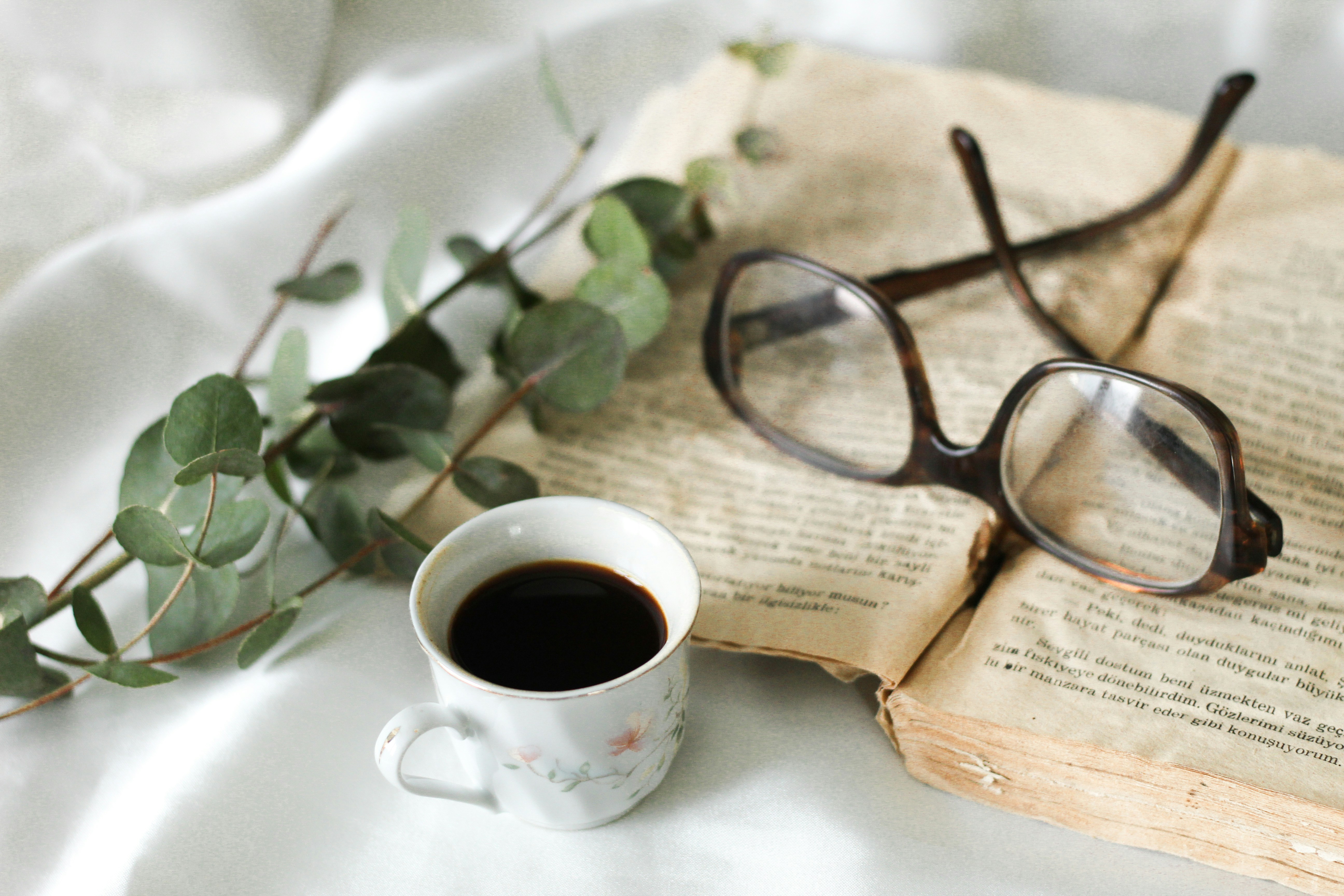 Photo by esrakorkmaz