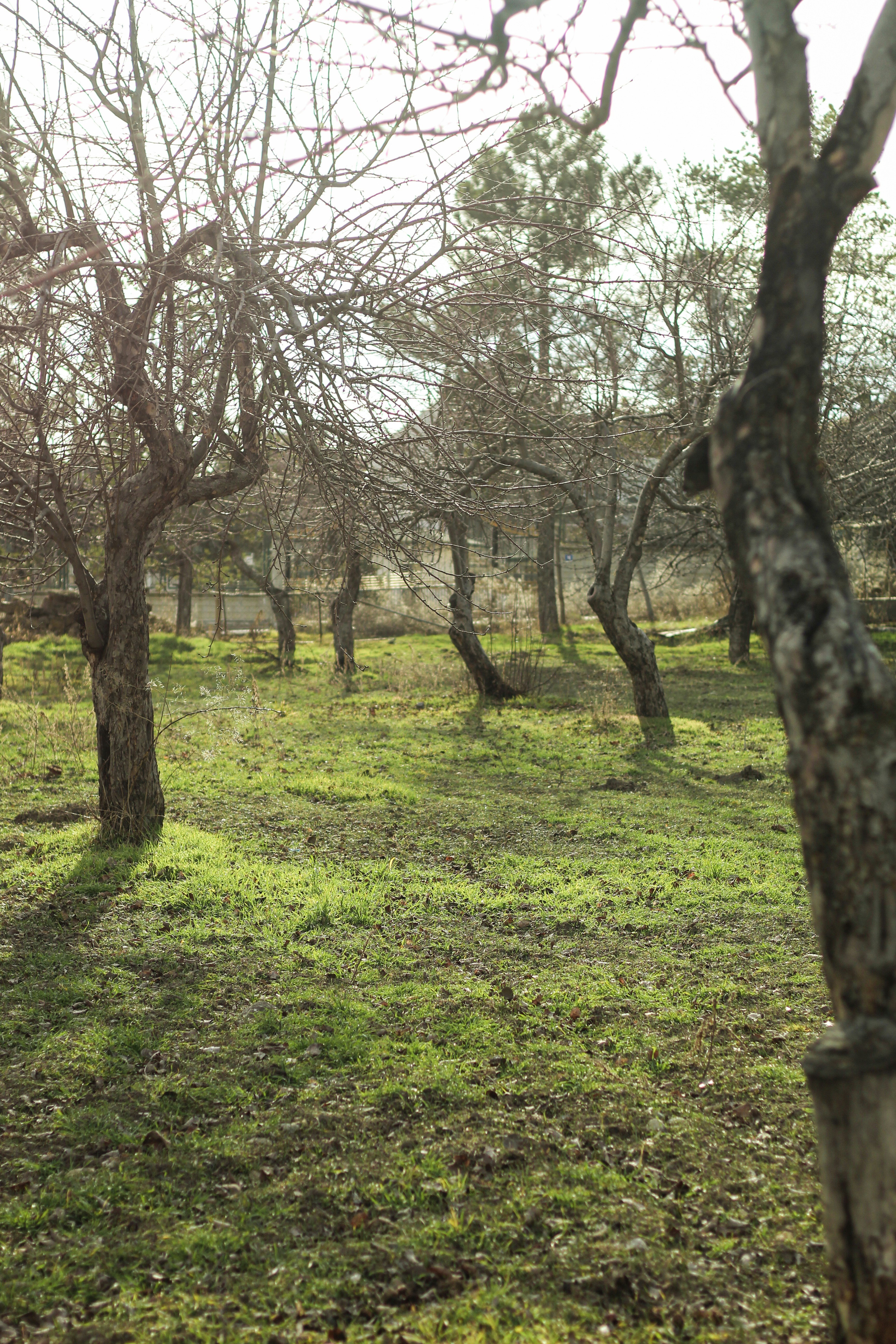 Photo by esrakorkmaz