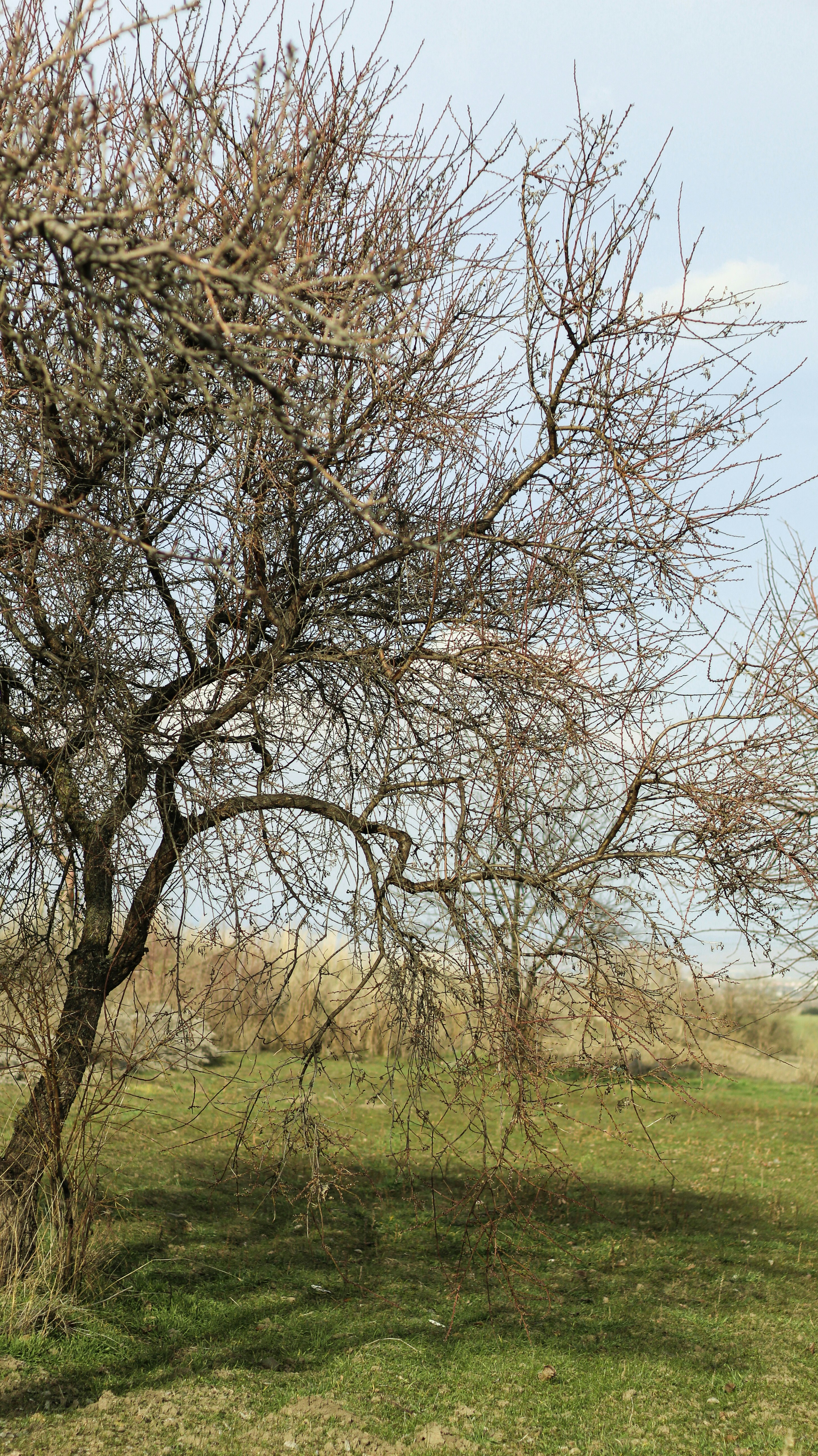Photo by esrakorkmaz