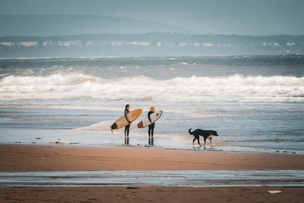 a couple of people with surfboards on a beach