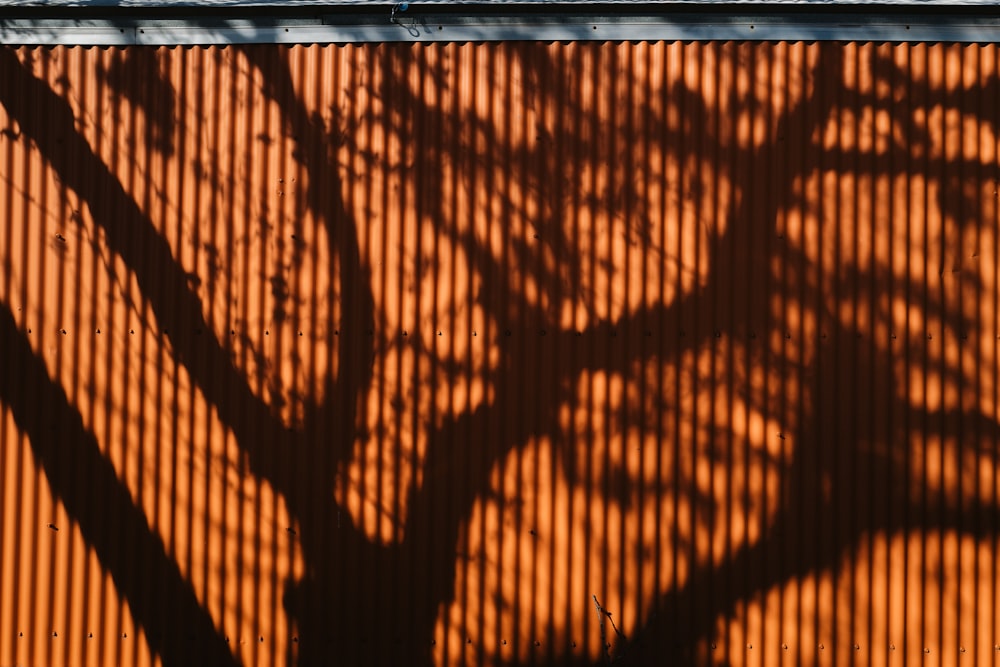 a shadow of a tree on a wall