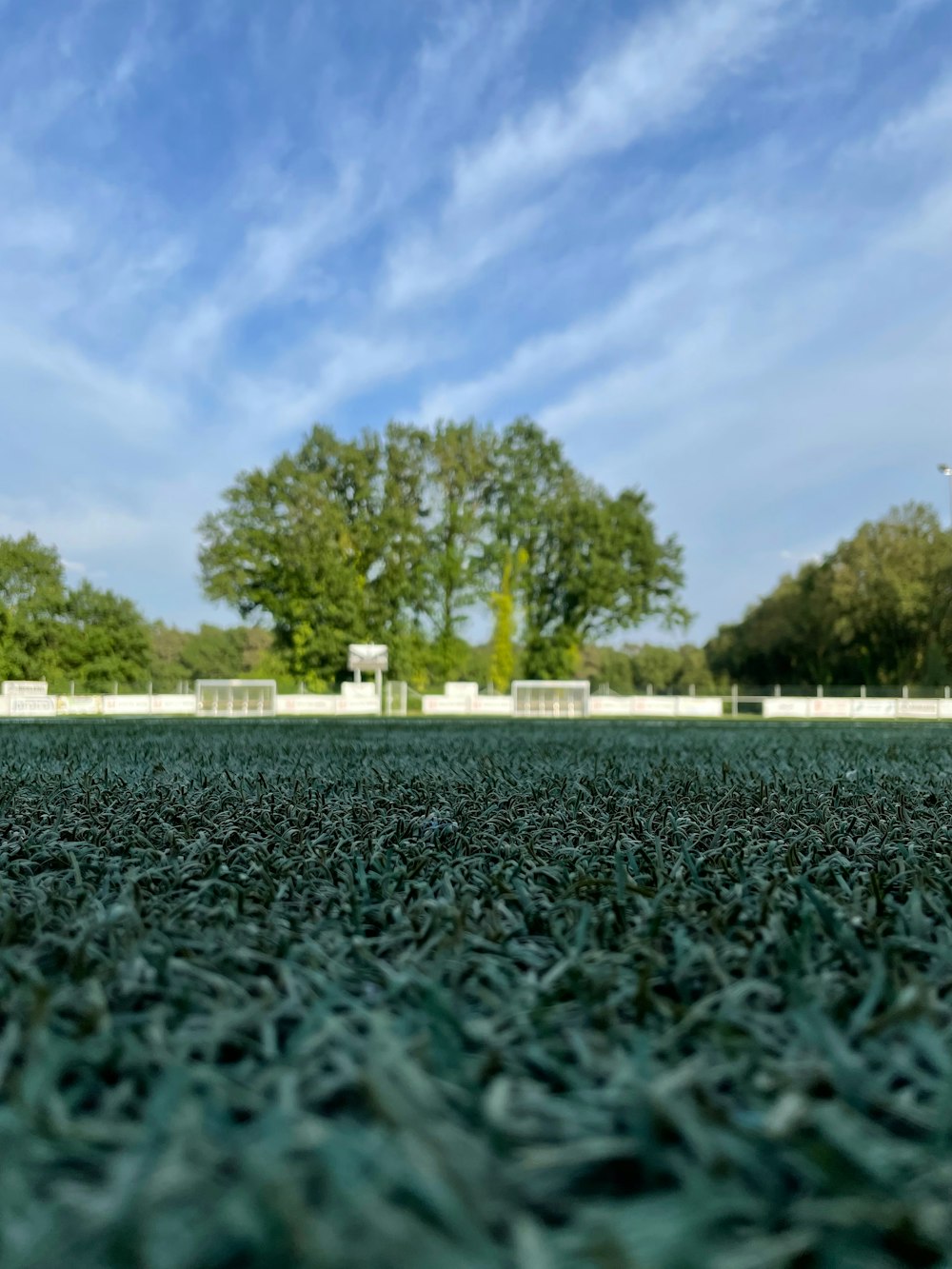 a grassy field with trees in the background