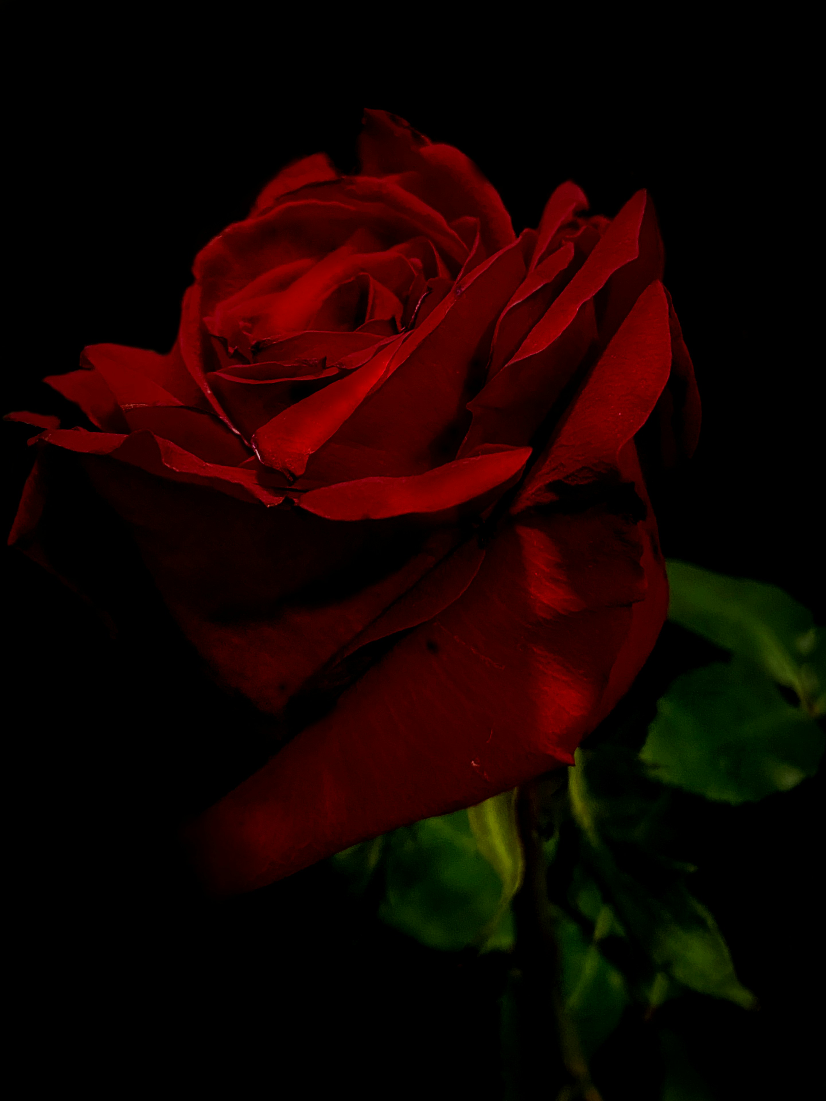 Photo by beutifulnature