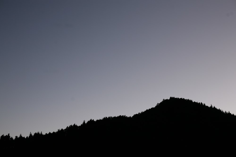 a silhouette of a mountain with a bird flying over it